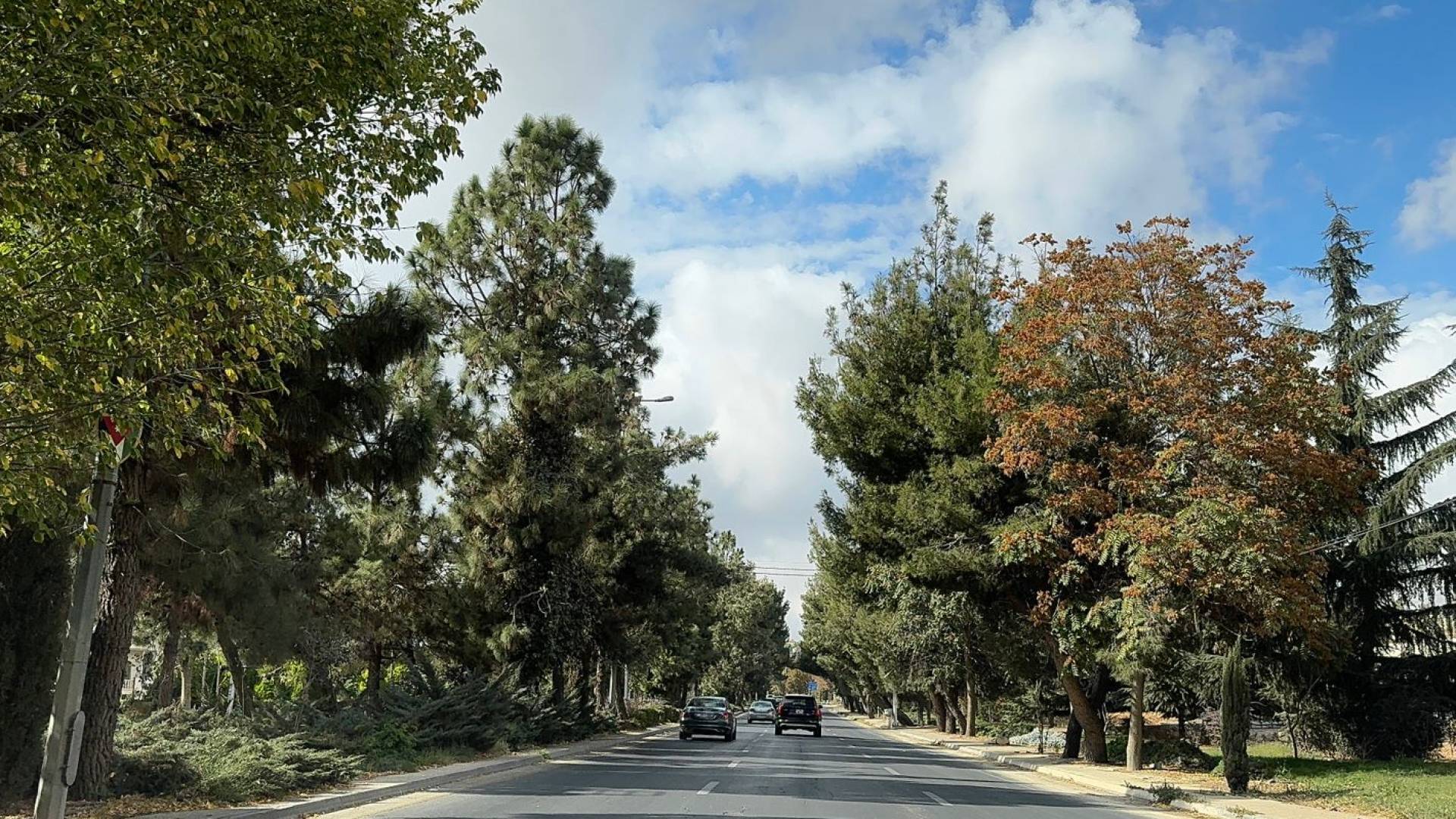 احدى شوارع العاصمة عمان