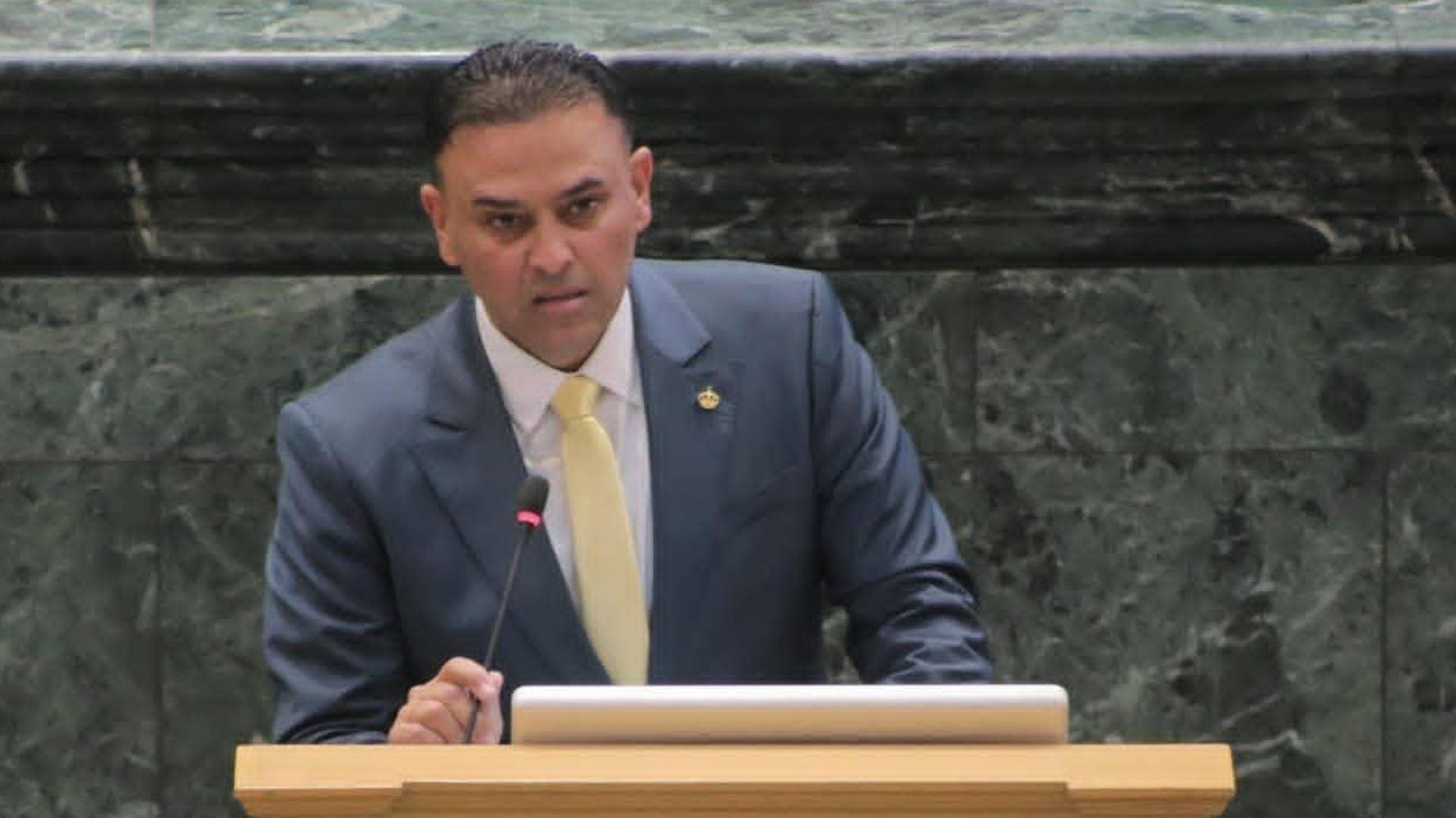 النائب وليد المصري