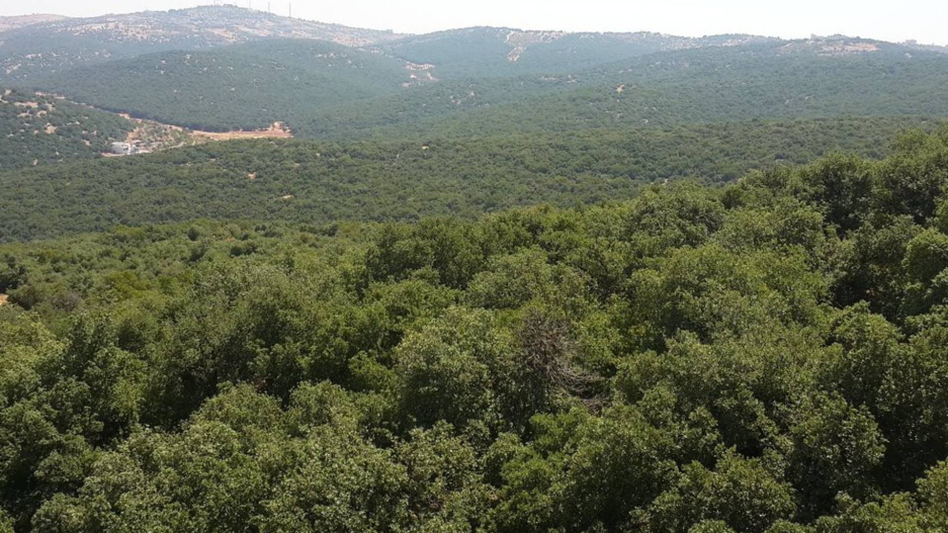 منطقة ناعور