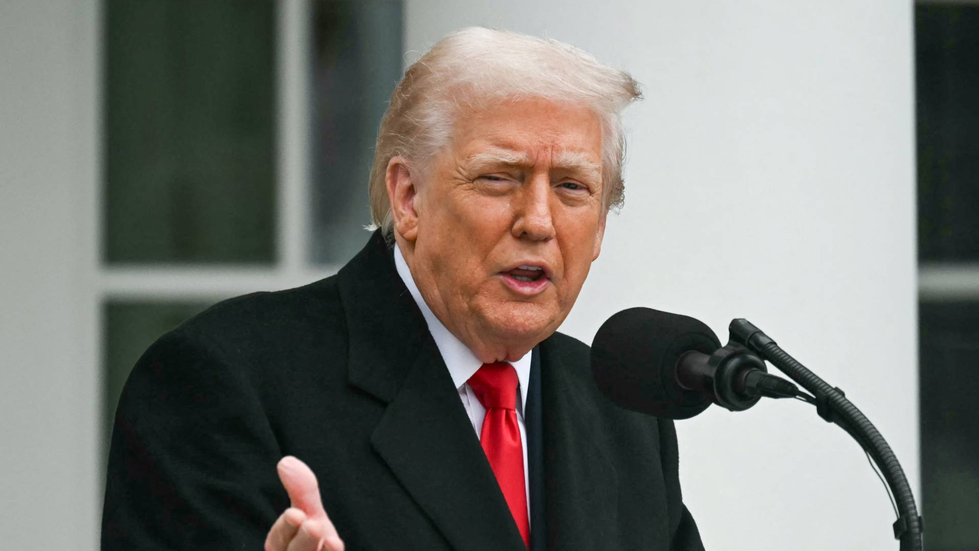 دونالد ترمب.. ارشيفية