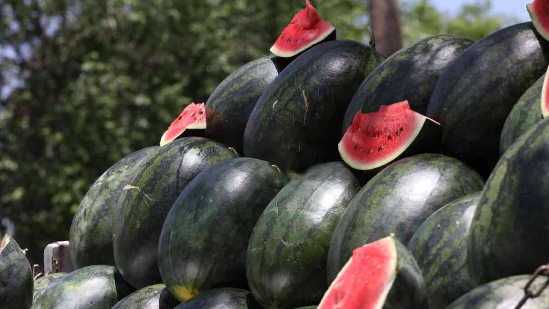 بطيخ - تعبيرية