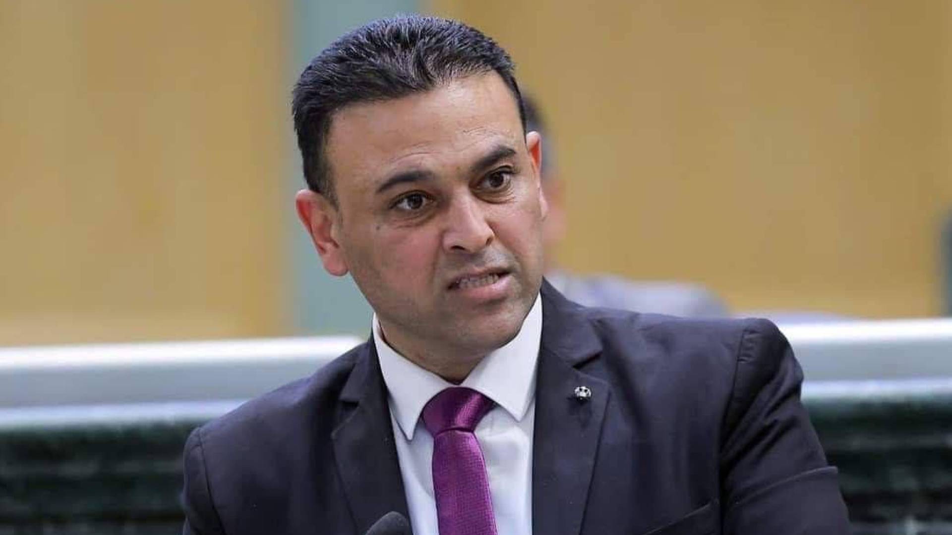 النائب وليد المصري