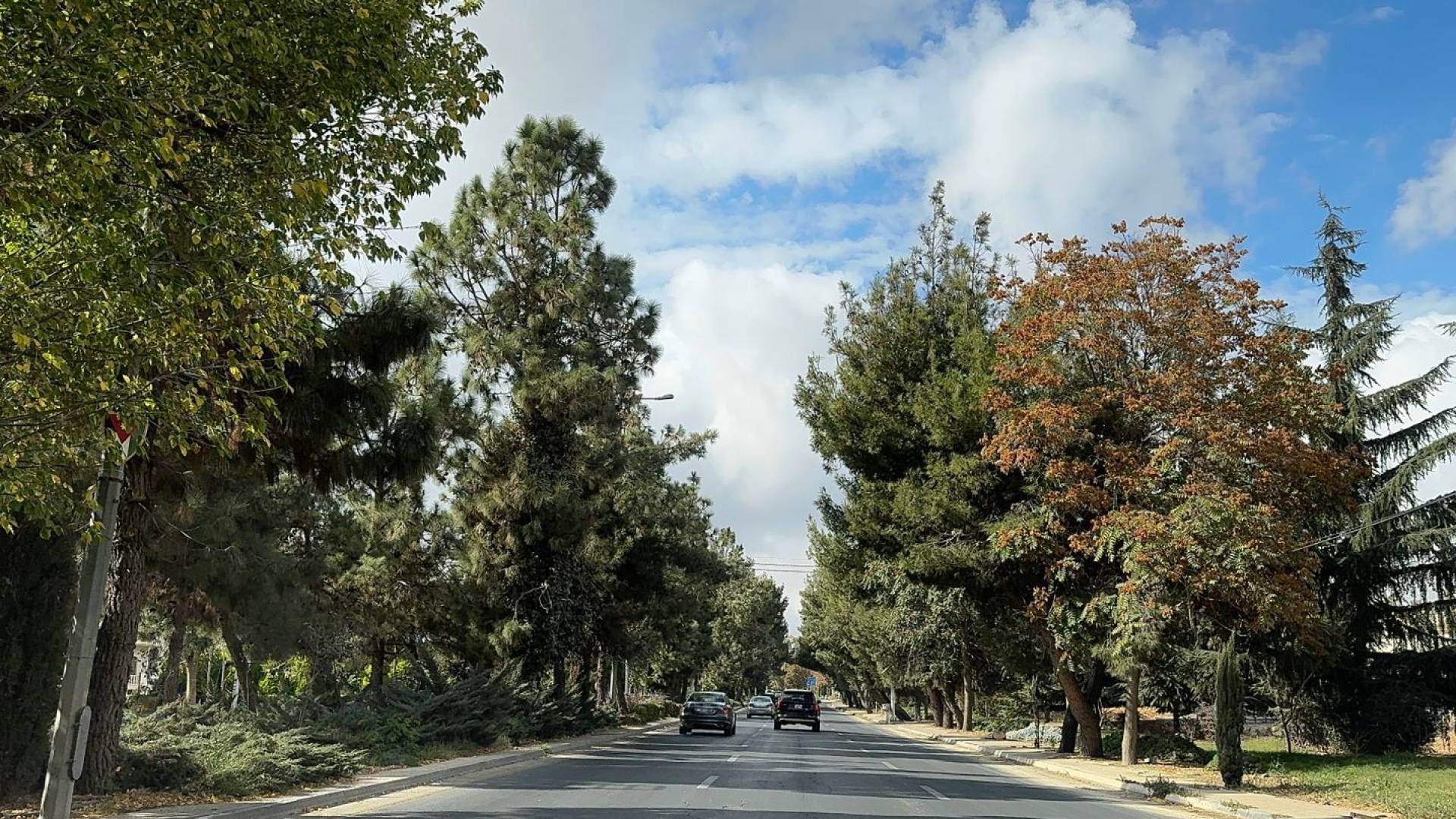 احدى شوارع العاصمة عمان