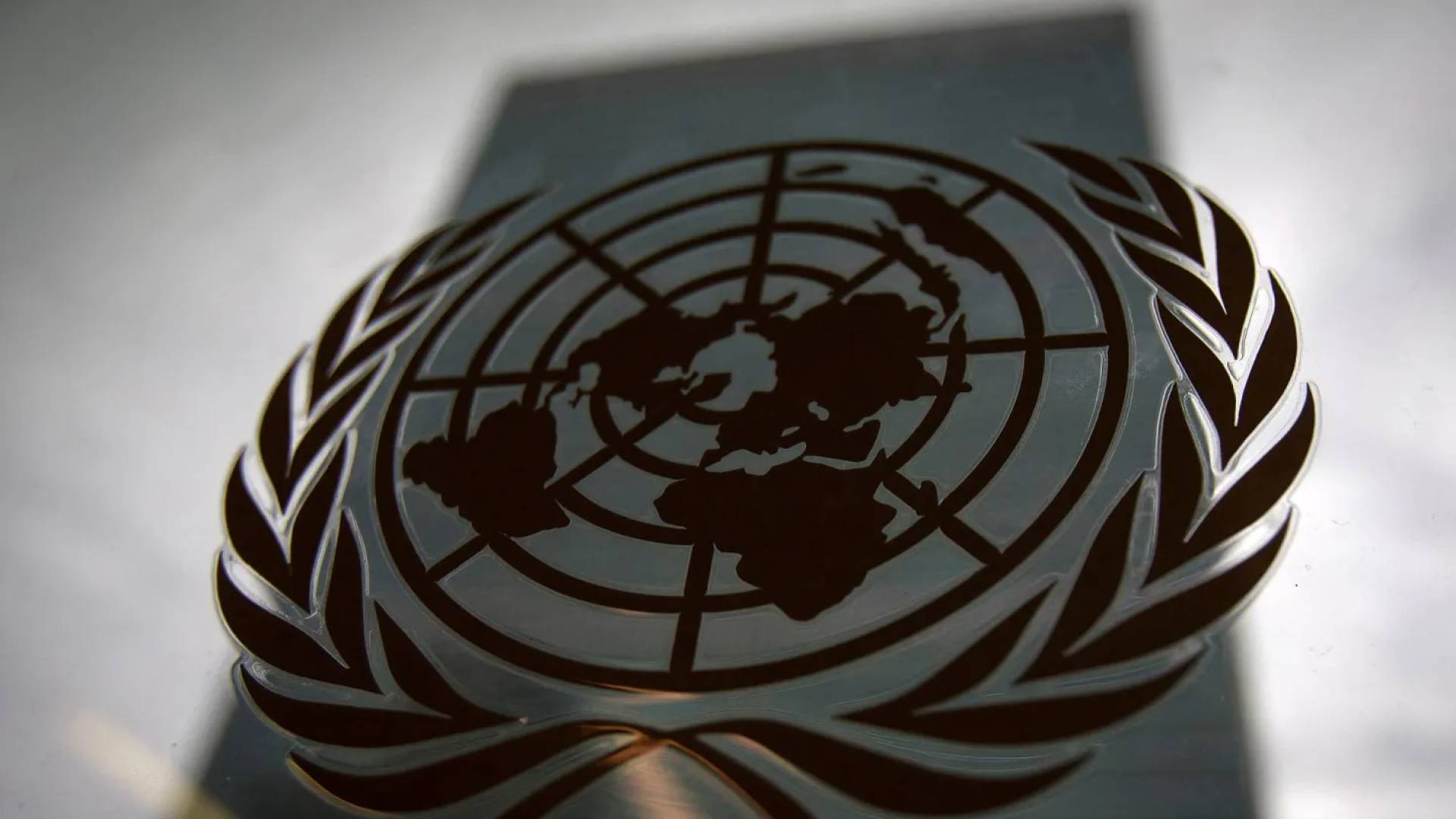 شعار الأمم المتحدة