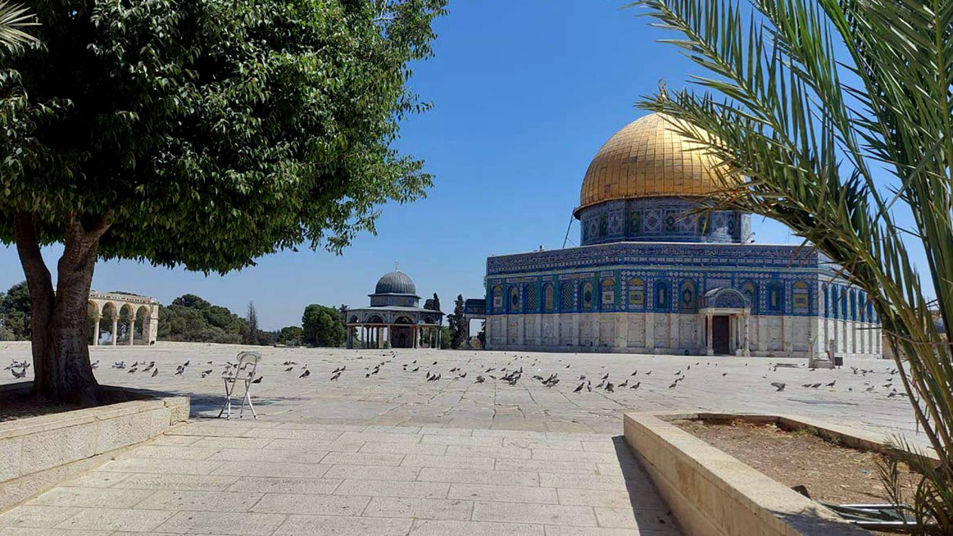 المسجد الأقصى المبارك - الحرم القدسي الشريف