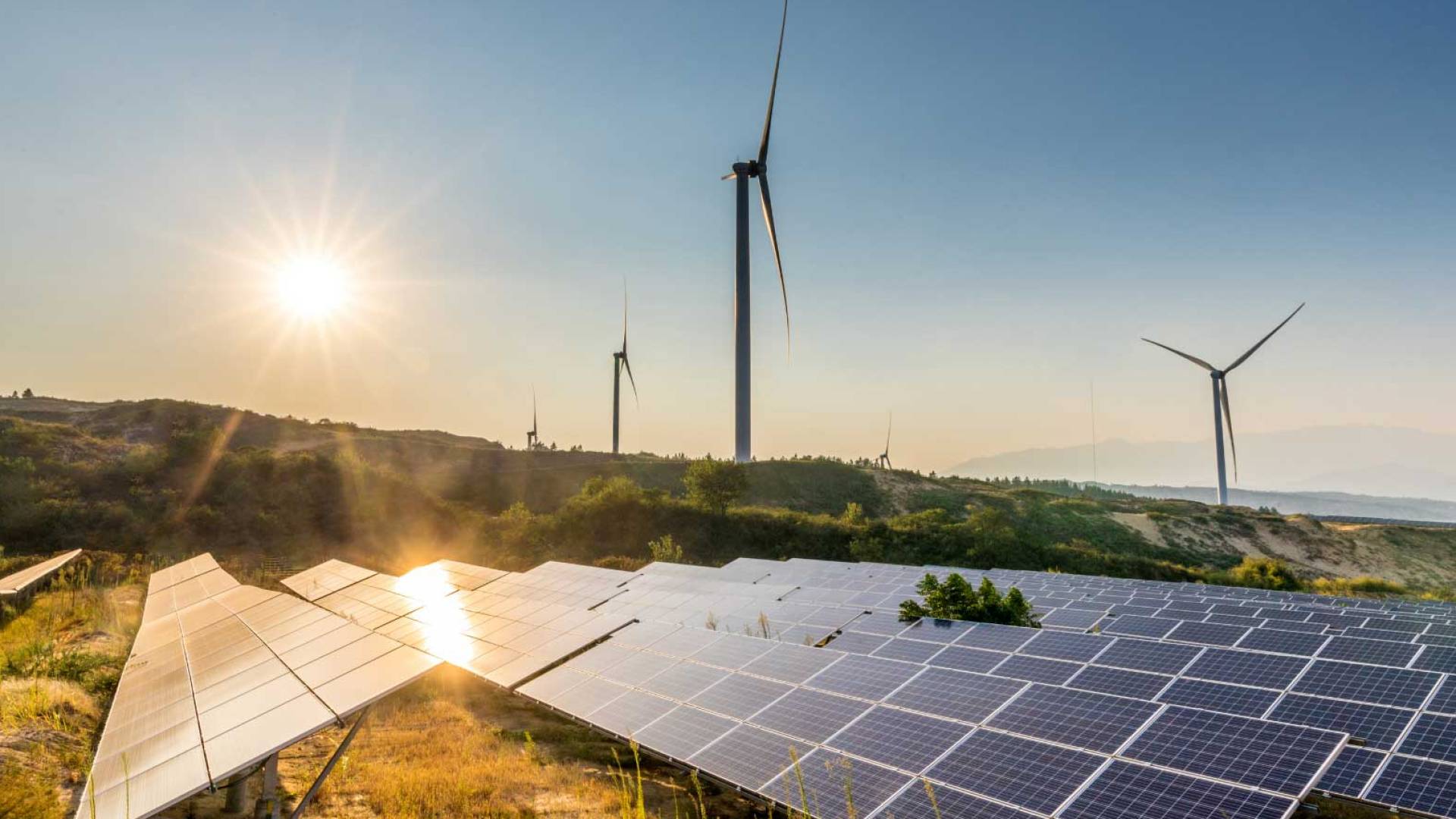 قطاع الكهرباء