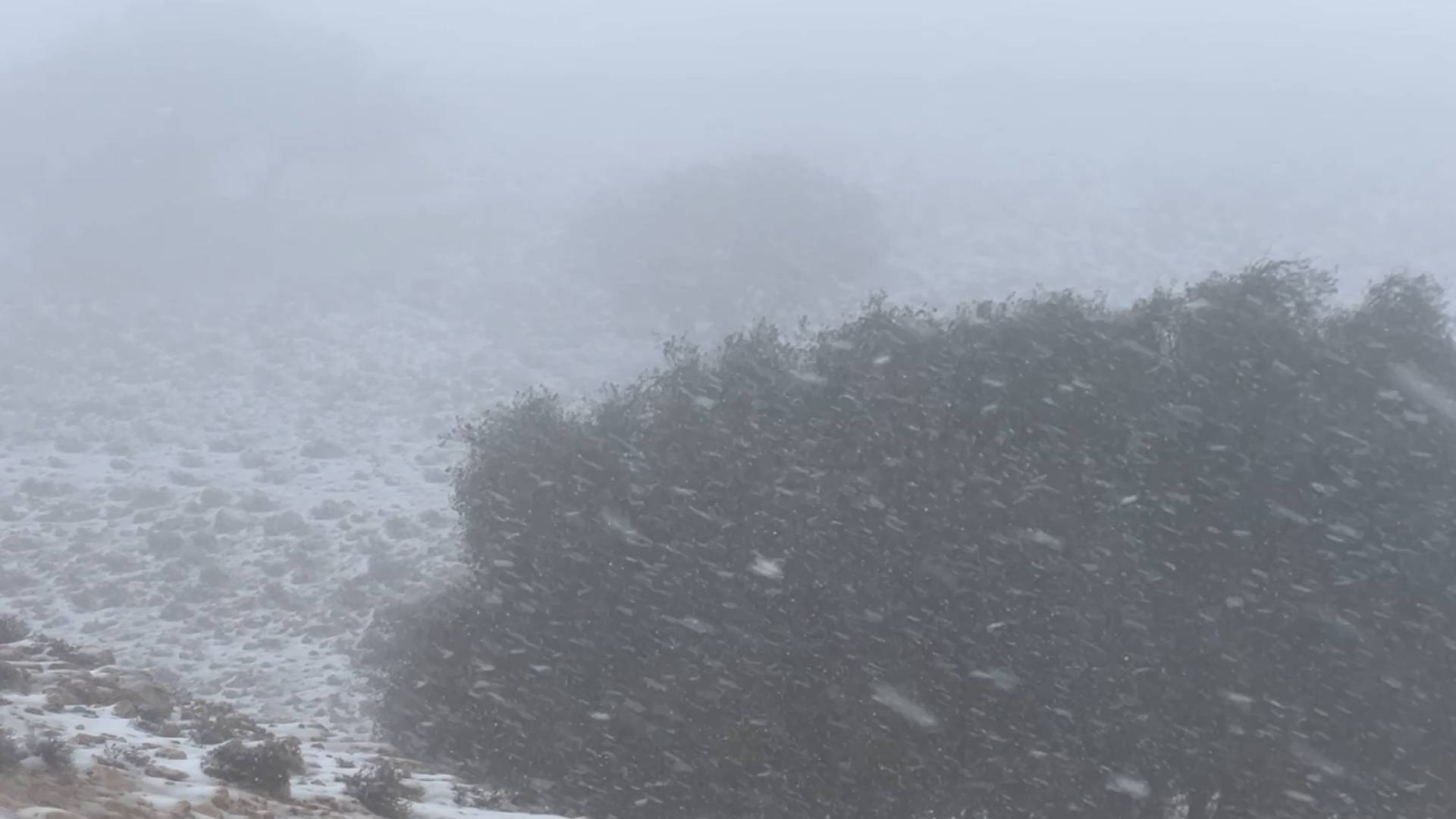 تساقط الثلوج في الأردن