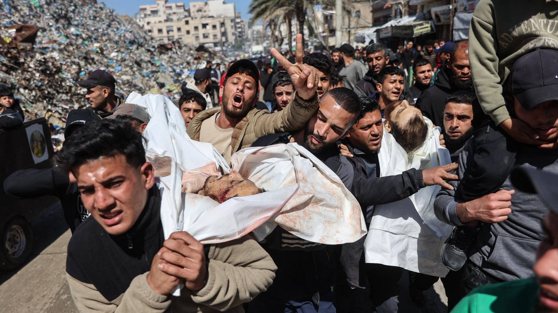 شهداء في غزة