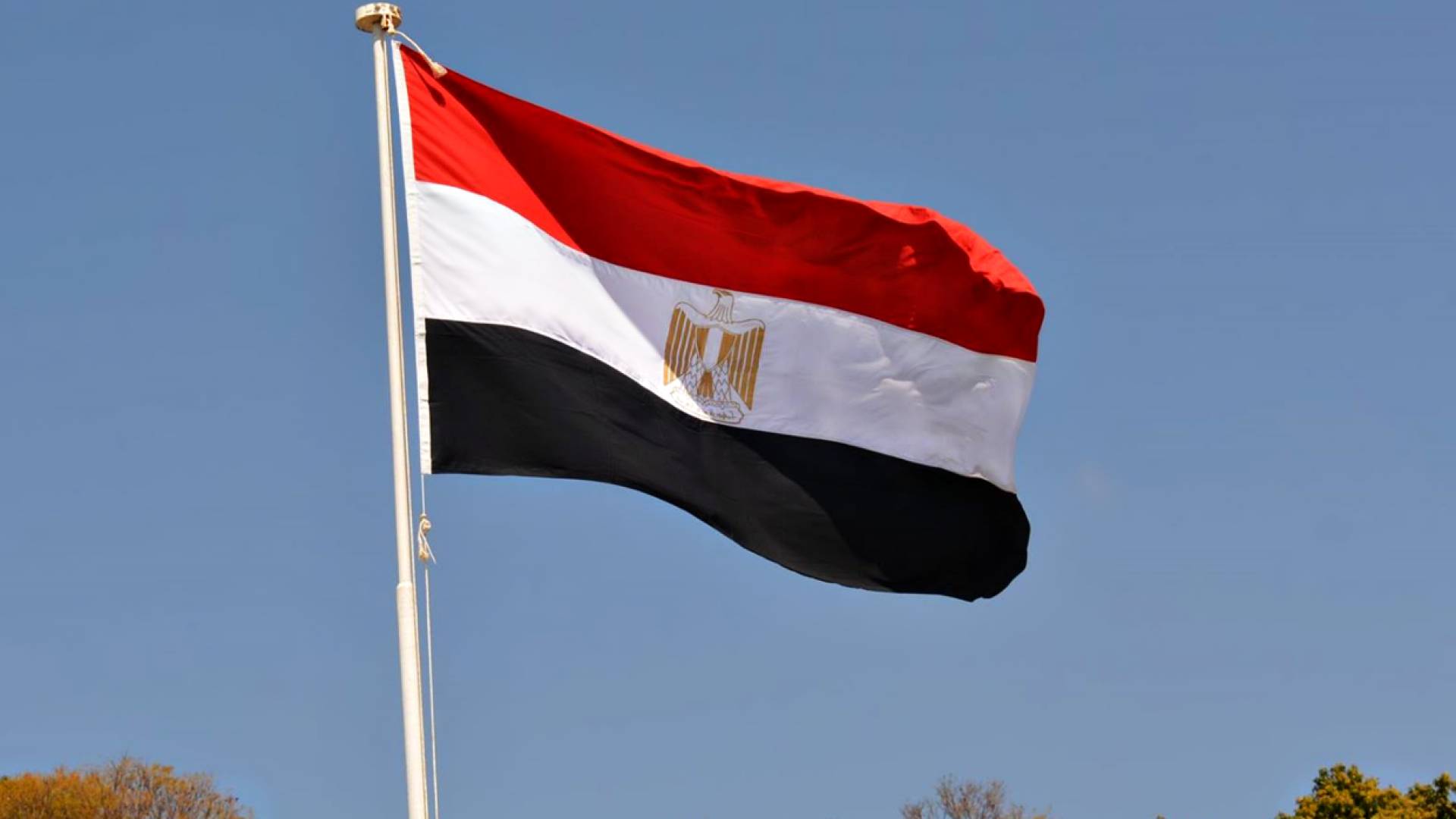 علم مصر