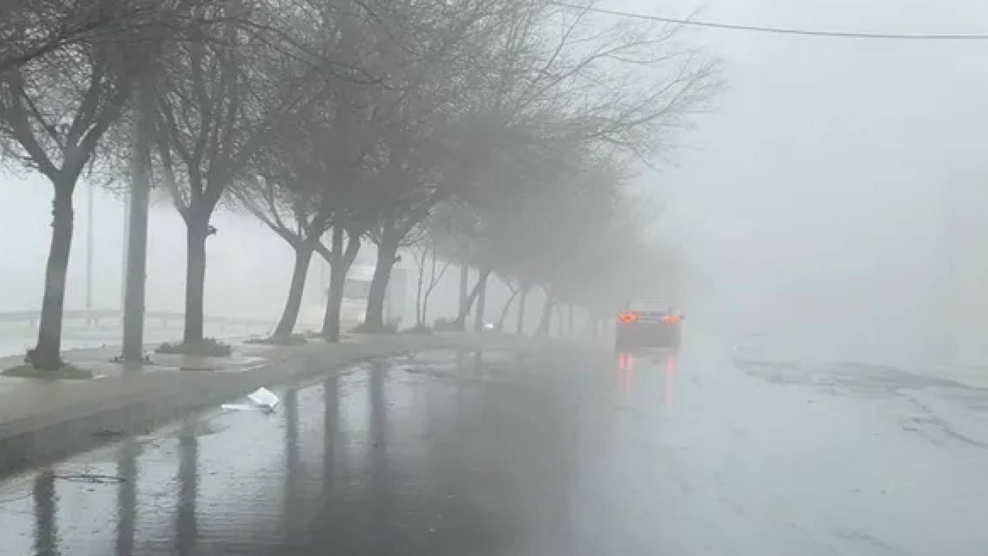 ضباب وأمطار في شوارع الأردن