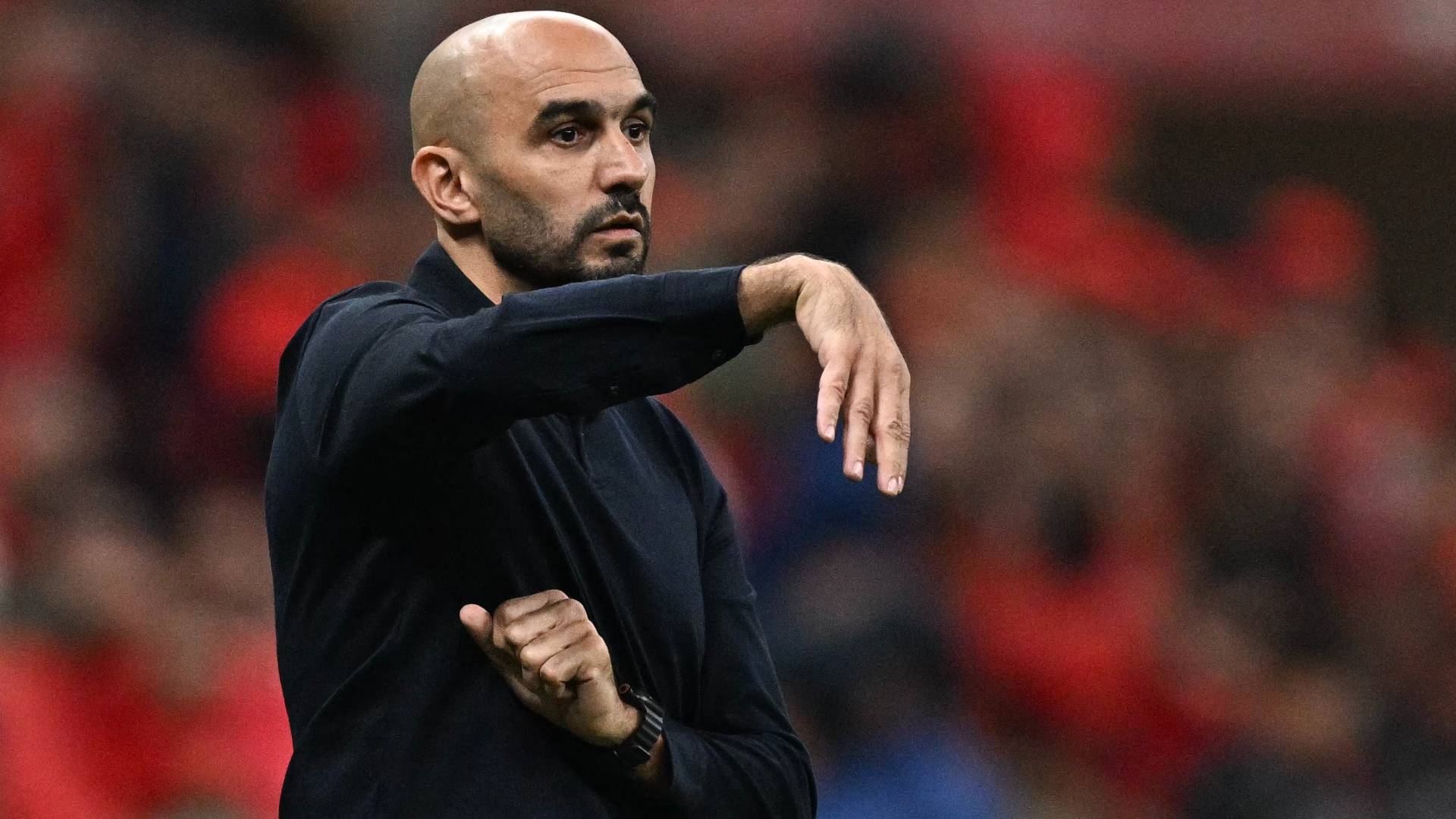 وليد الركراكي