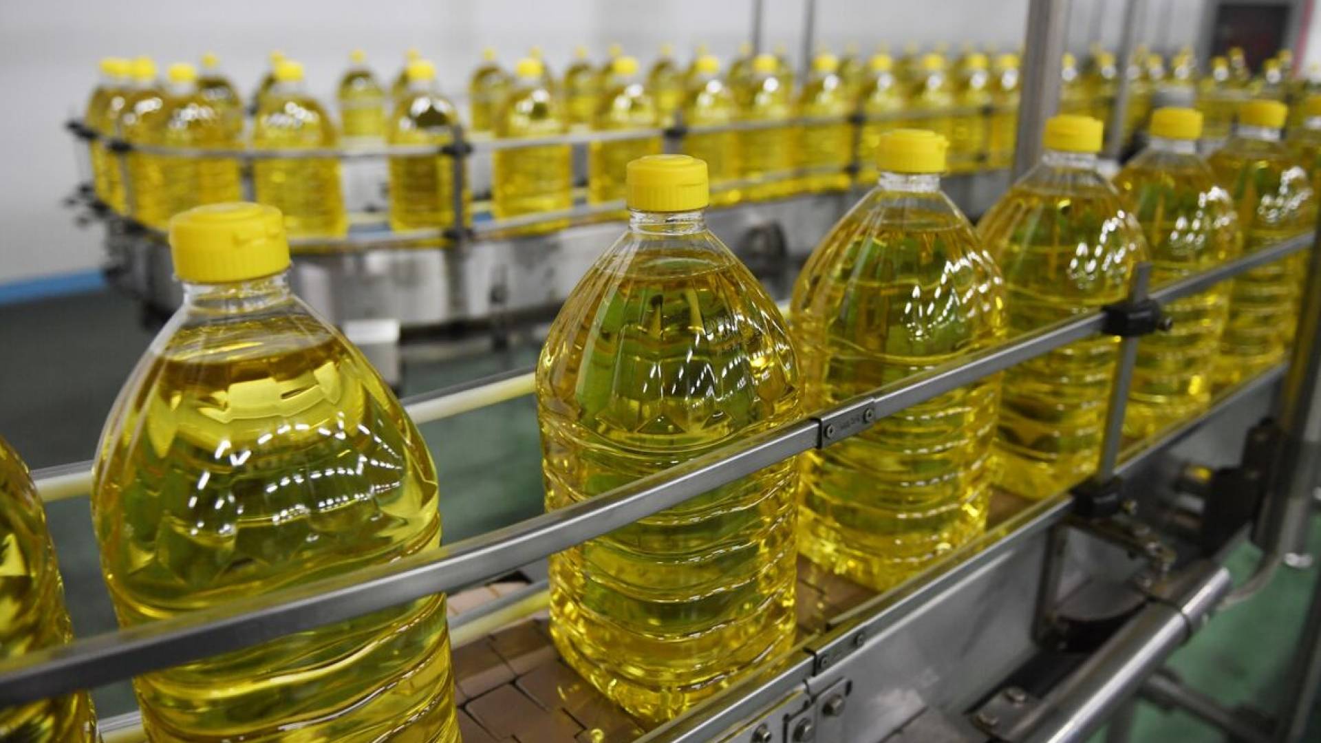 الزيوت في الأردن