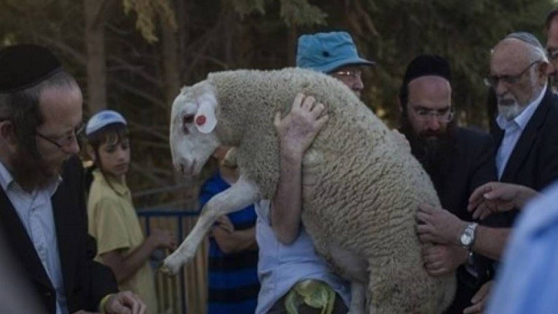 محاولت لإدخال قرابين للمسجد الأقصى