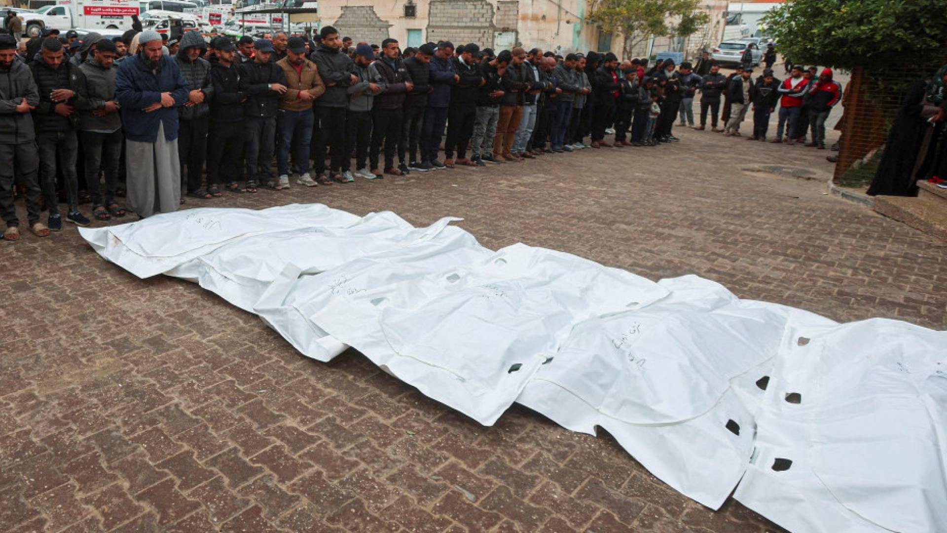 صورة أرشيفية