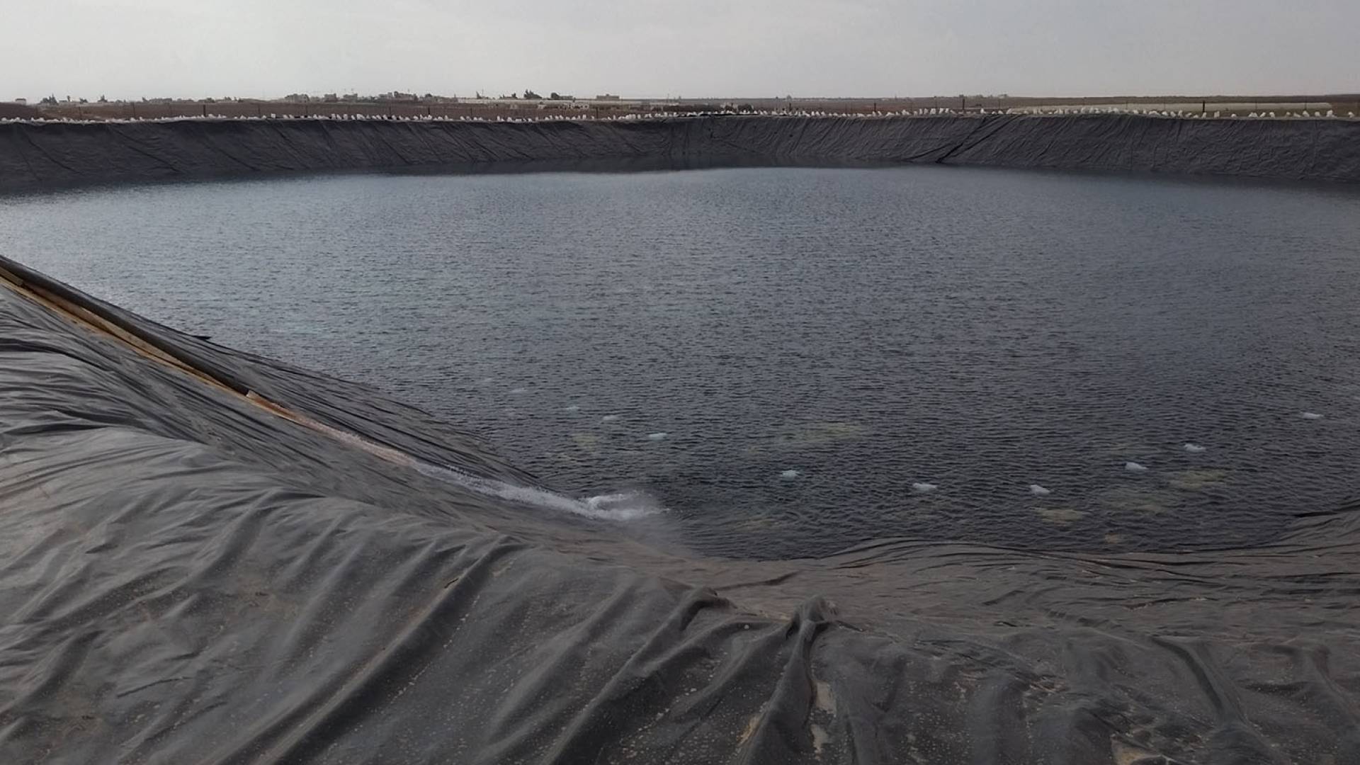 بركة زراعية