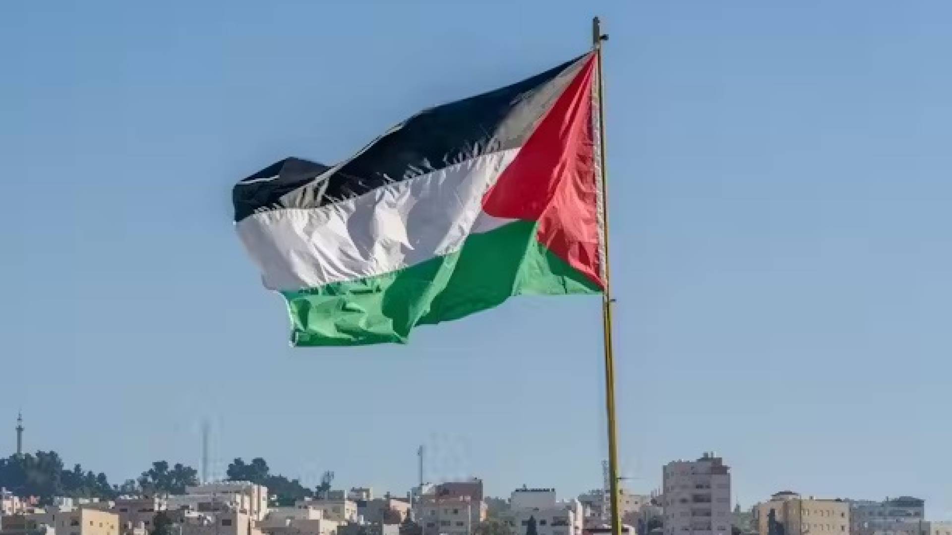 العلم الفلسطيني