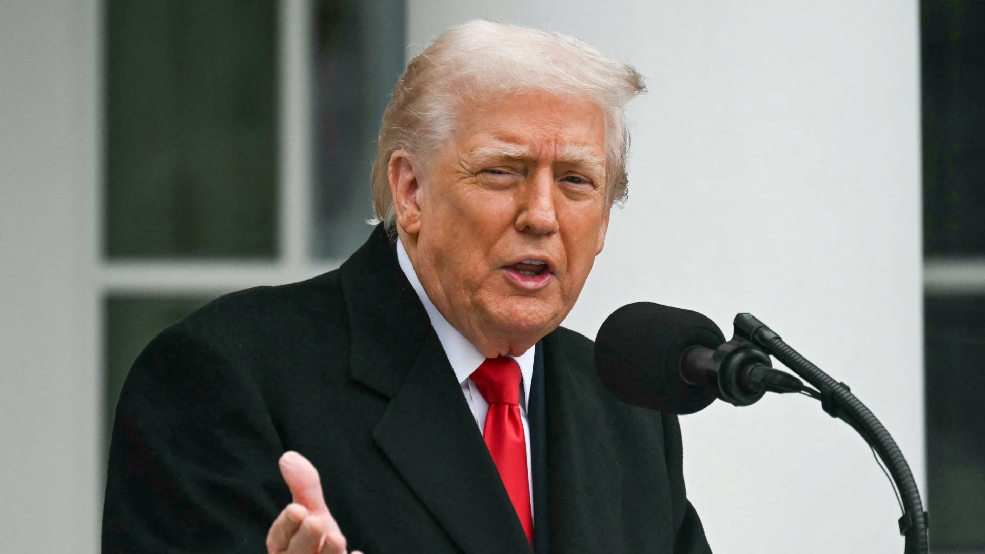 دونالد ترمب.. ارشيفية