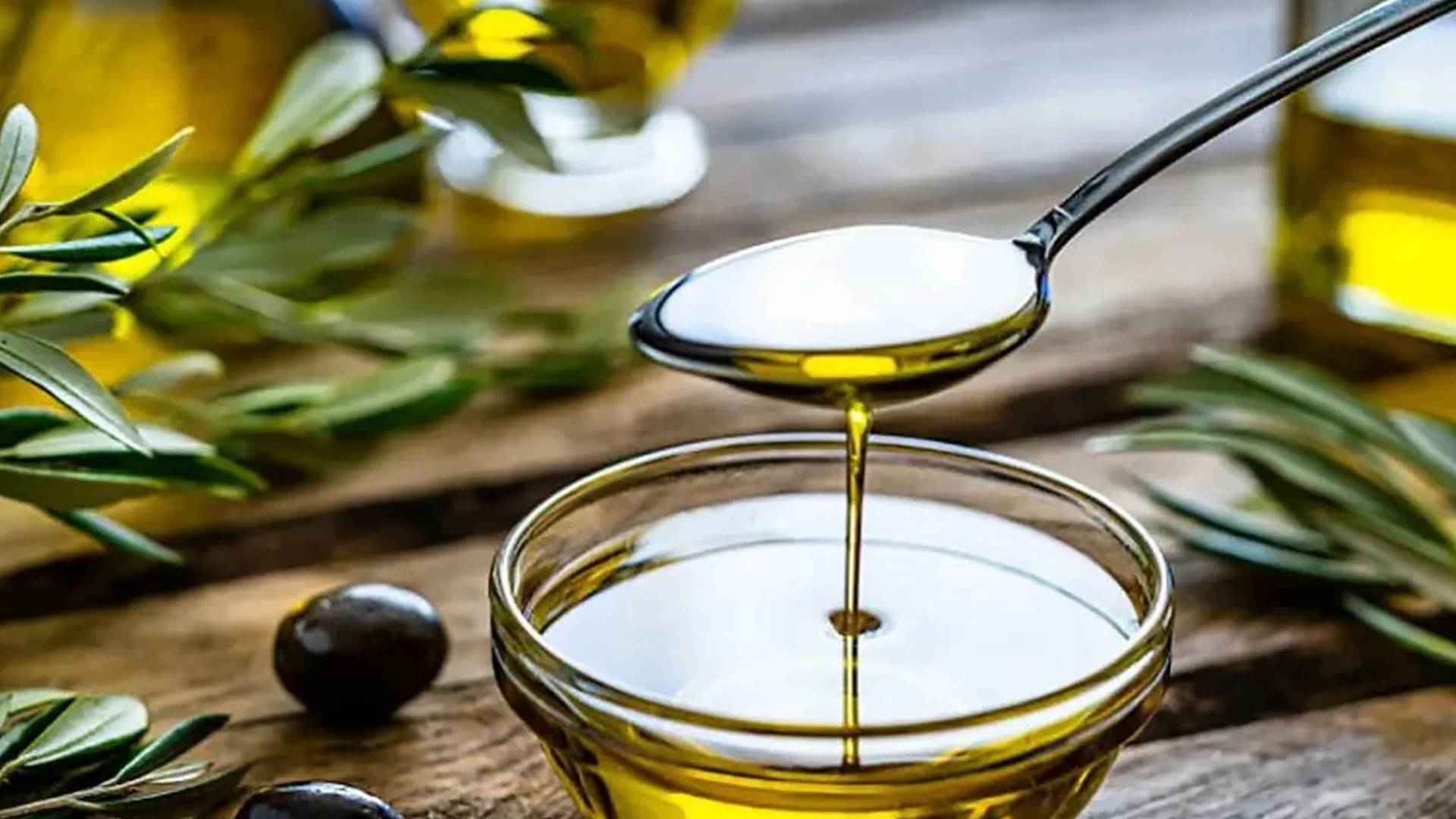 زيت الزيتون.. ارشيفية