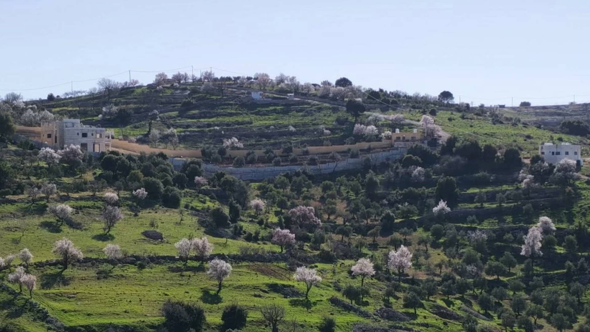 أجواء مشمسة في الأردن