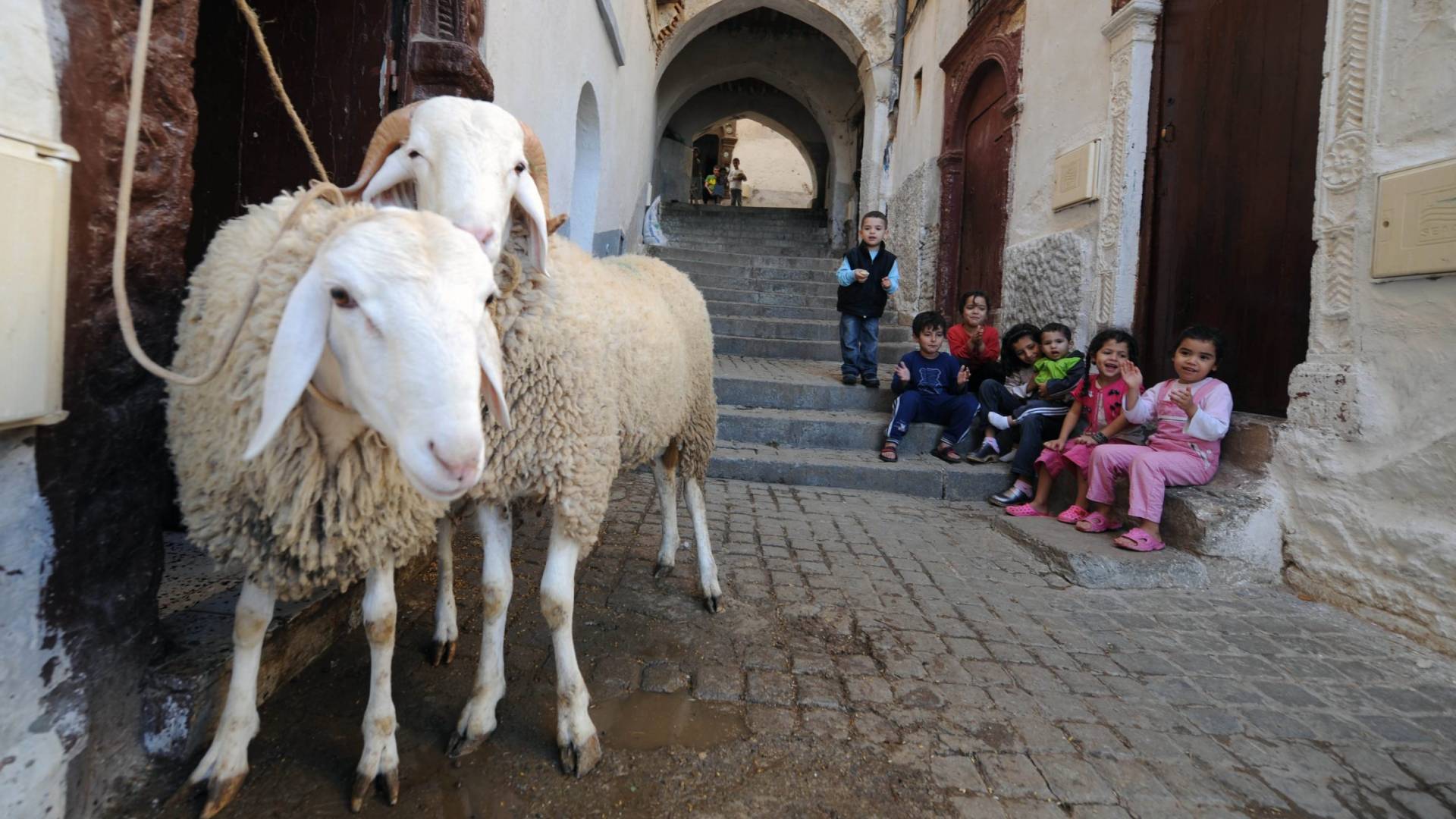أطفال بجانب خاروف العيد