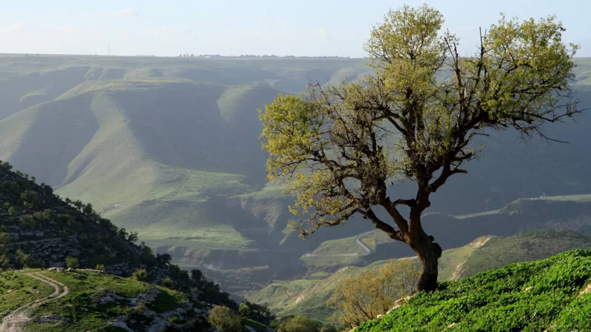 الربيع في الأردن