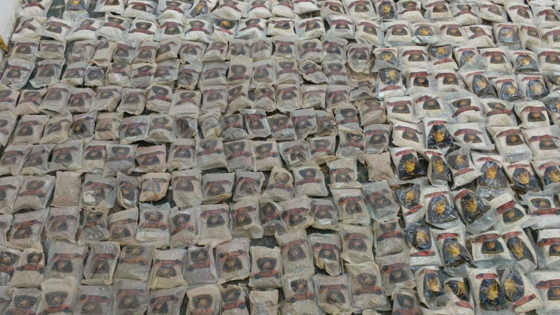 المواد المخدرة التي تم ضبطها