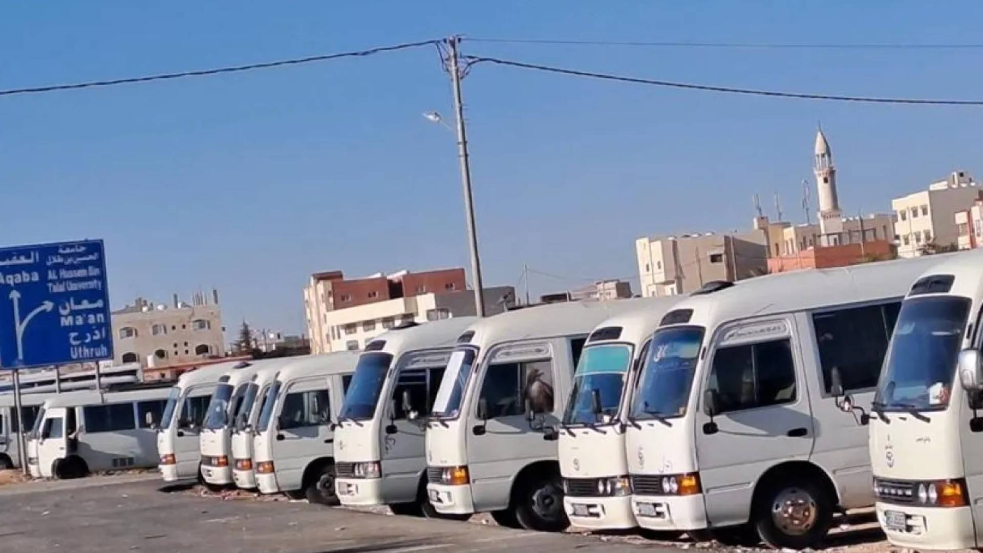 باصاتت النقل العام