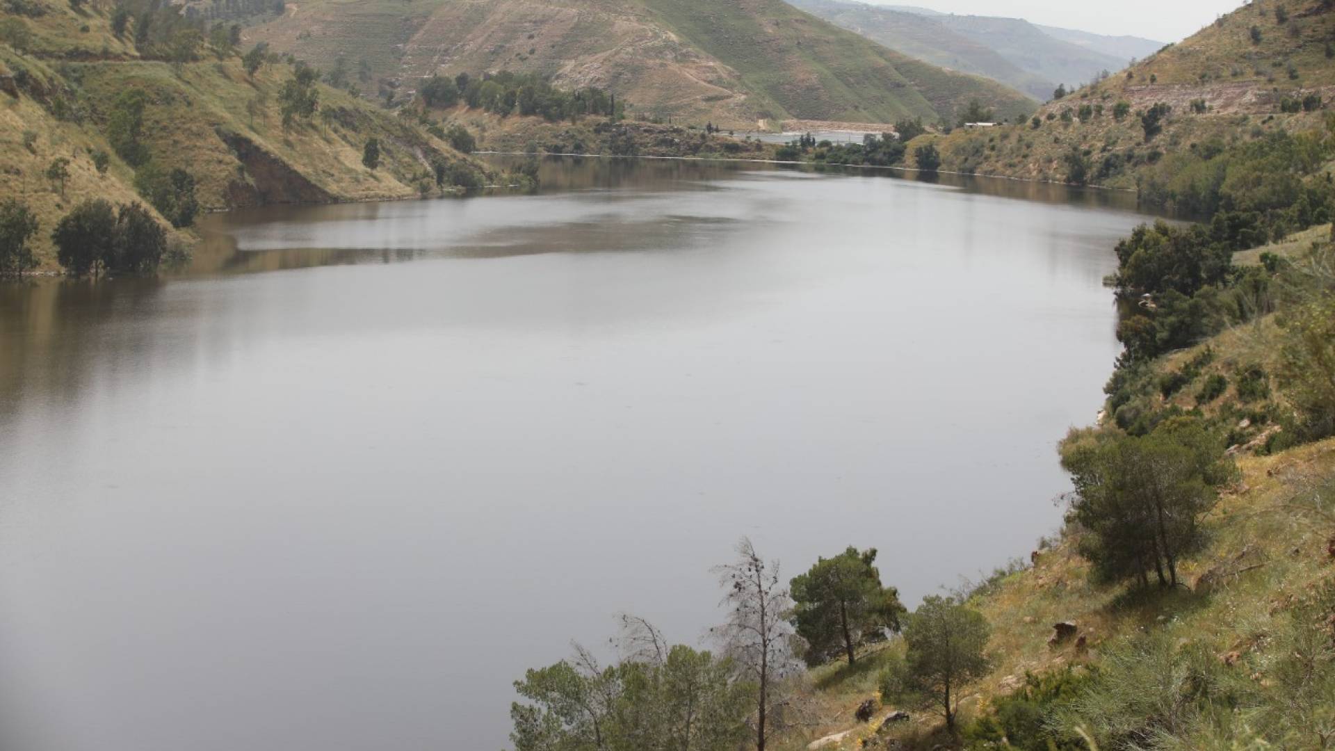 تجمع المياه في السدود