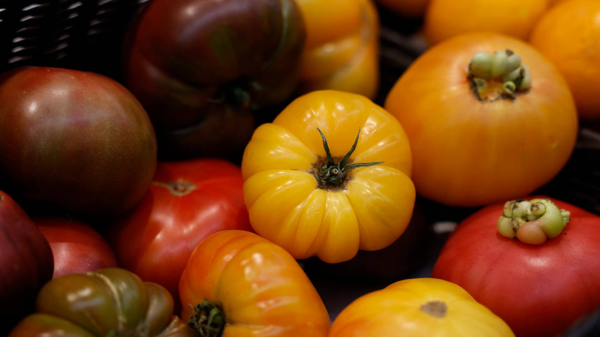 الخضار والفواكه