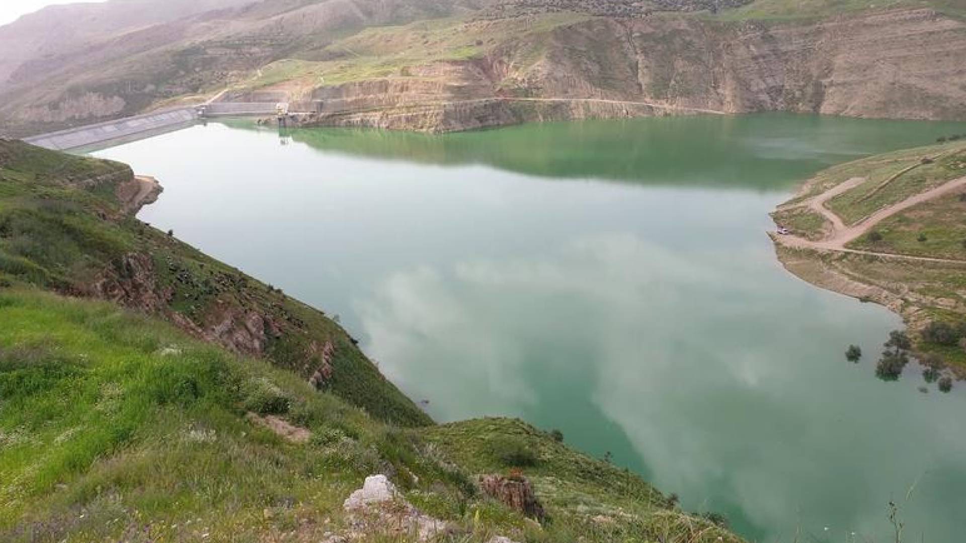 مياه "الديسي"