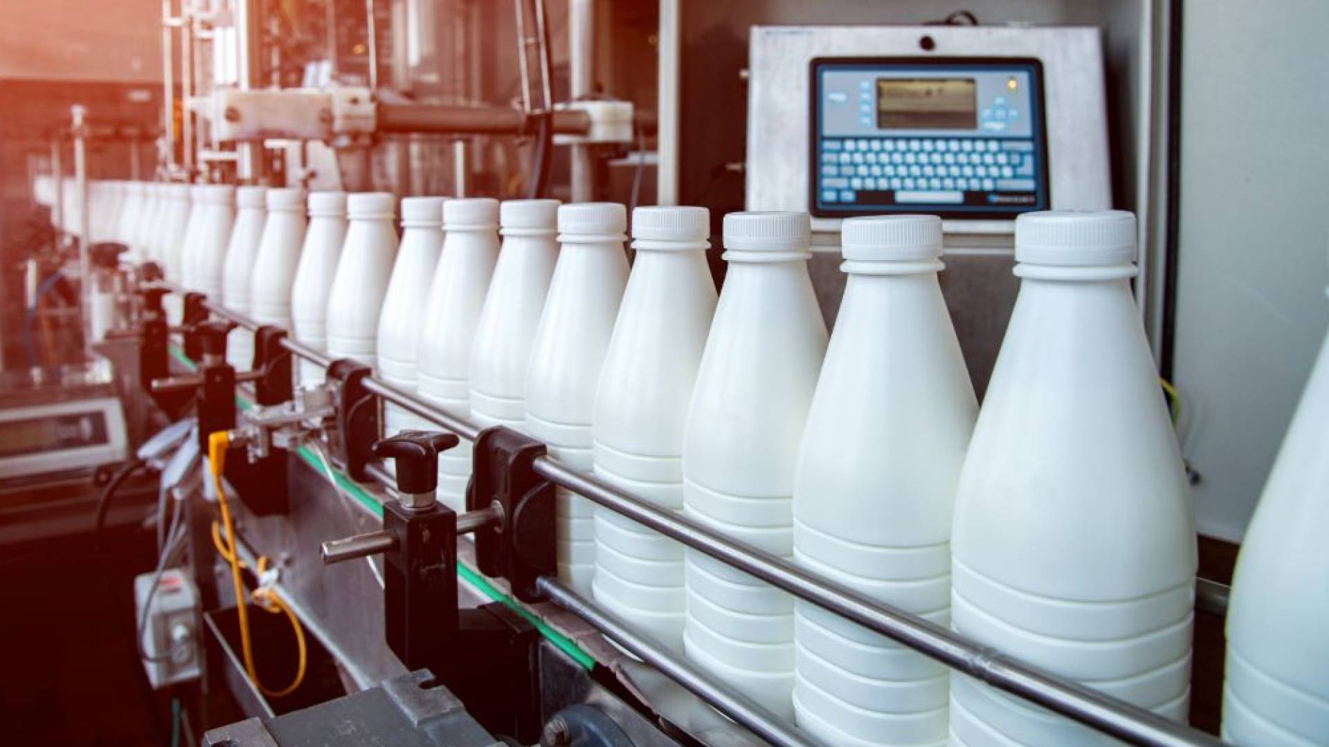 مصنع ألبان في الطفيلة