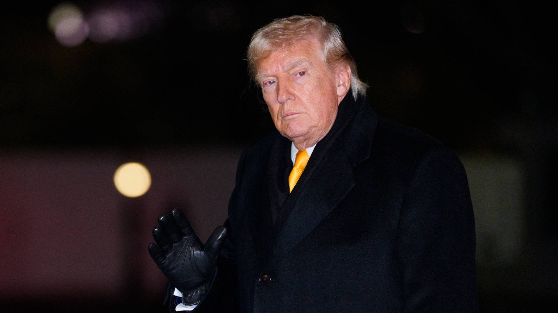 الرئيس الأمريكي دونالد ترمب