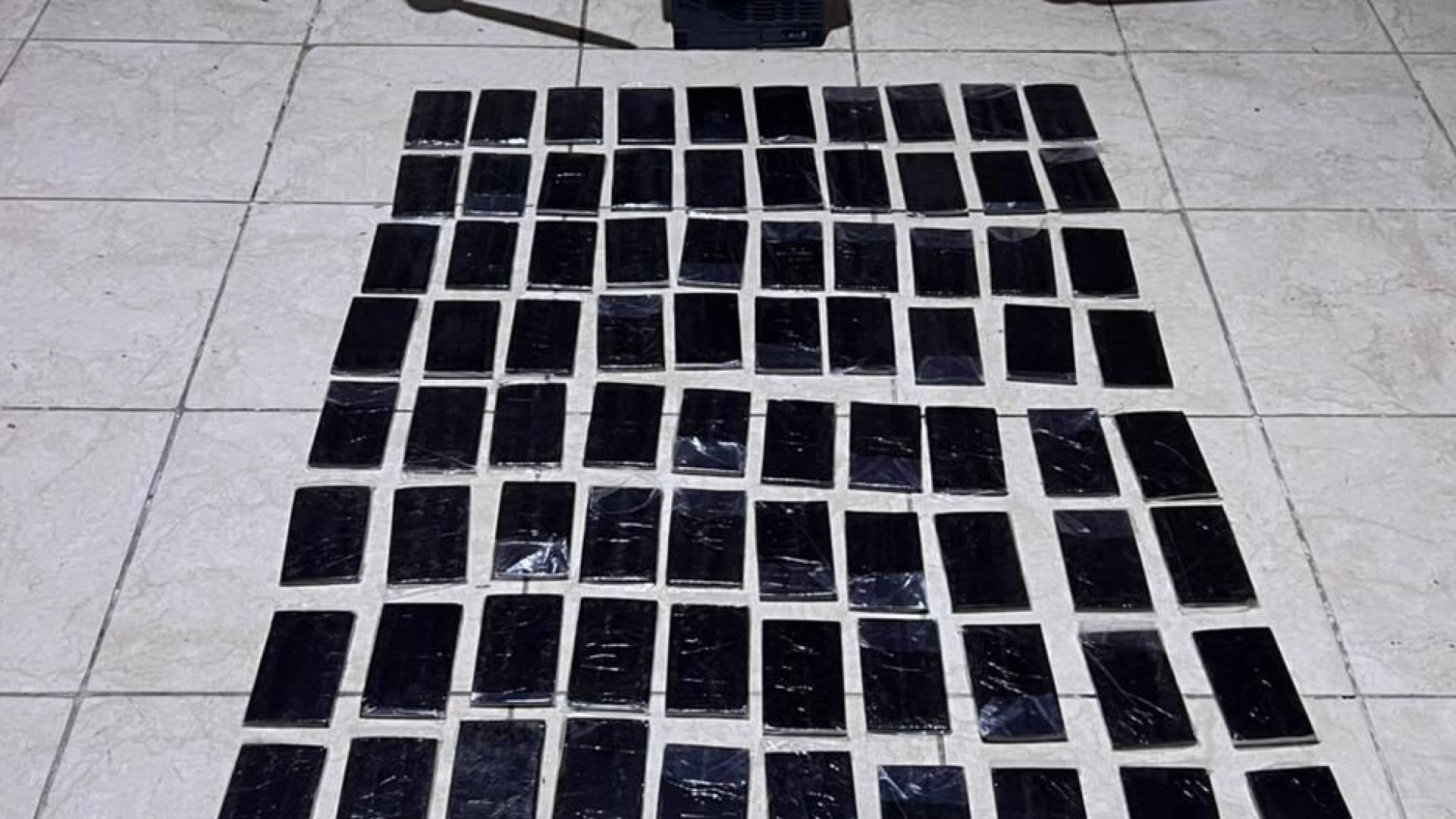 المواد المخدرة التي تم ضبطها