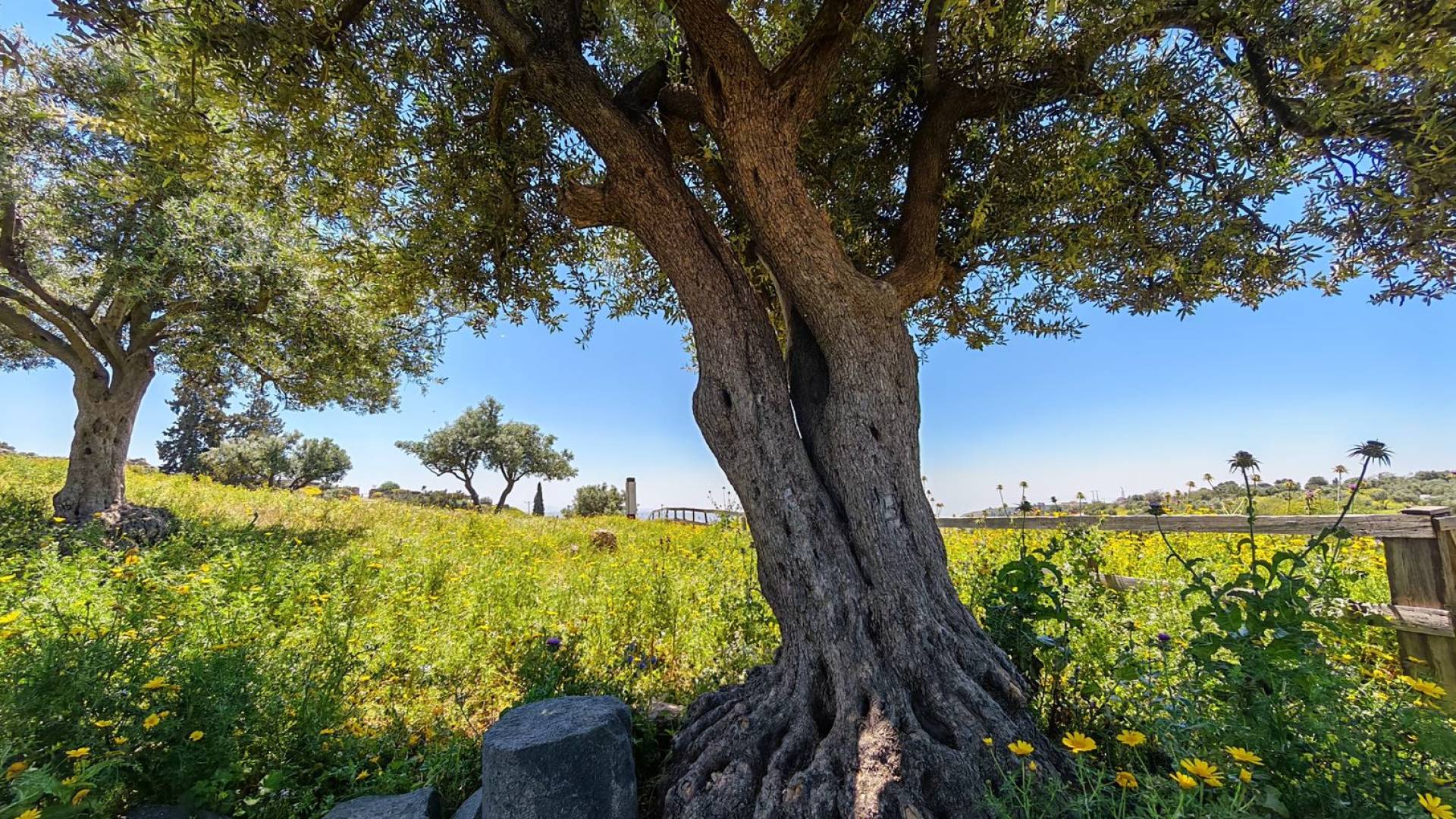 الأمن العام يدعو لـ "تنزه مسؤول" ويحذر من المخالفات البيئية في عطلة نهاية الأسبوع