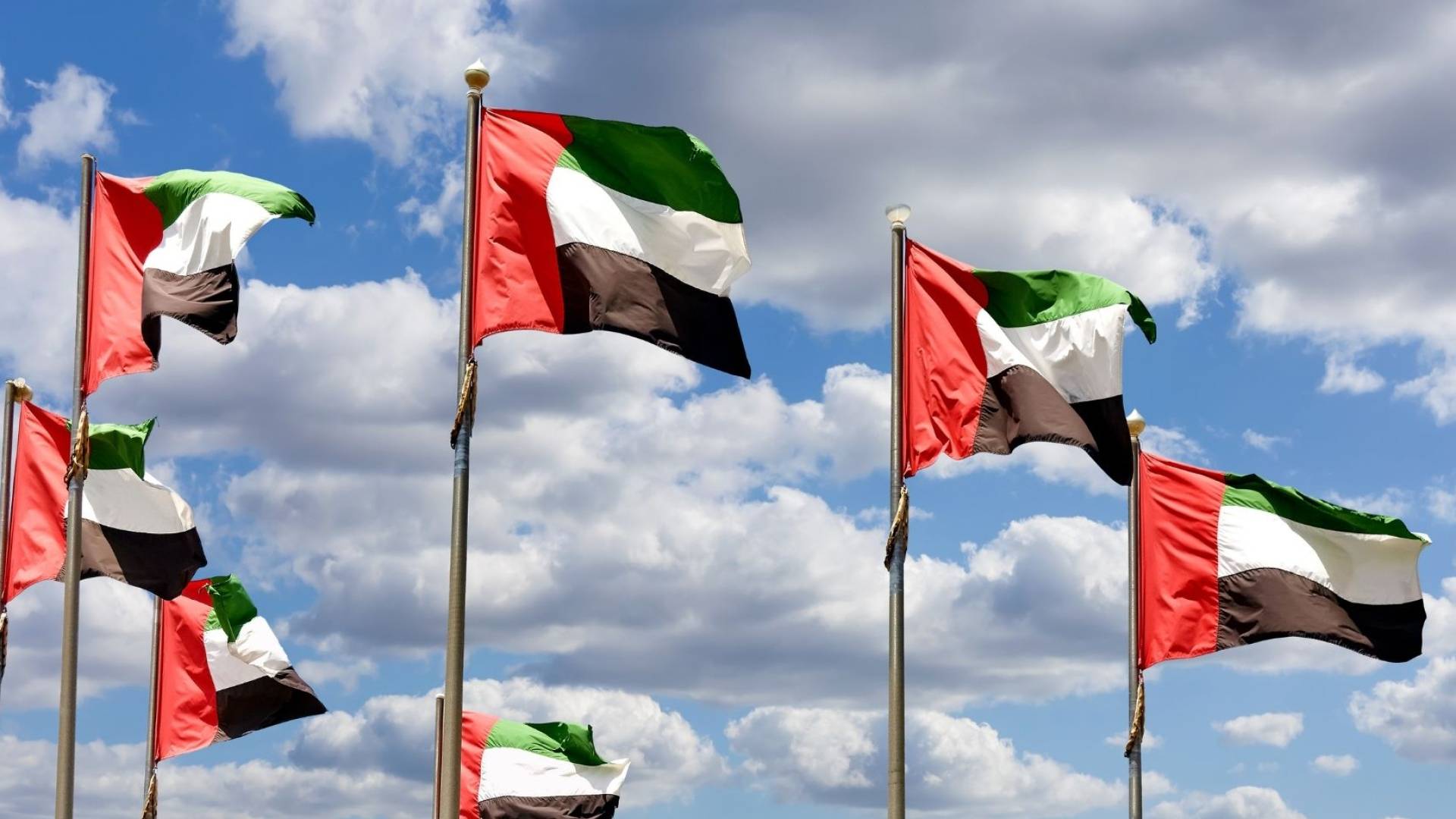 علم الامارات