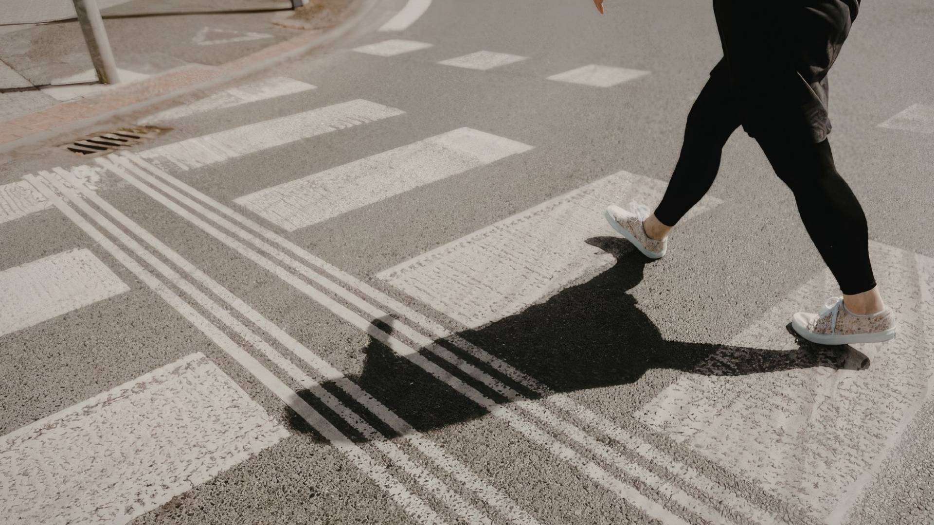 الخطوط التنظيمية والعلامات الأرضية في الشوارع الرئيسية