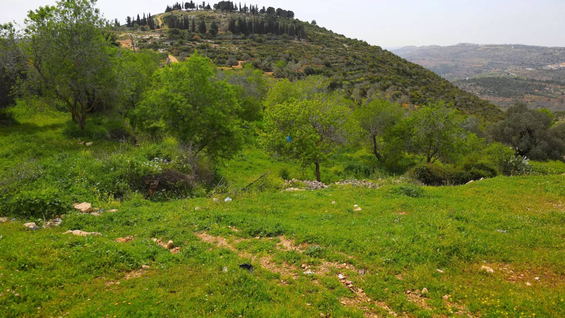 صورة لخربة عموريا