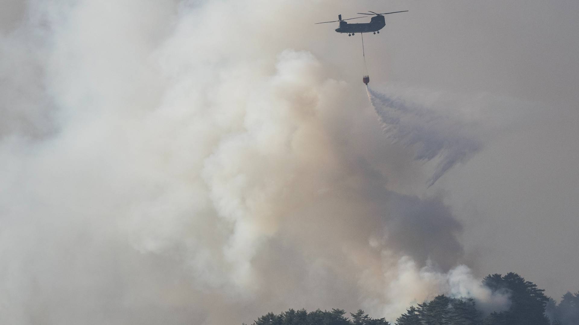 صور من الحرائق