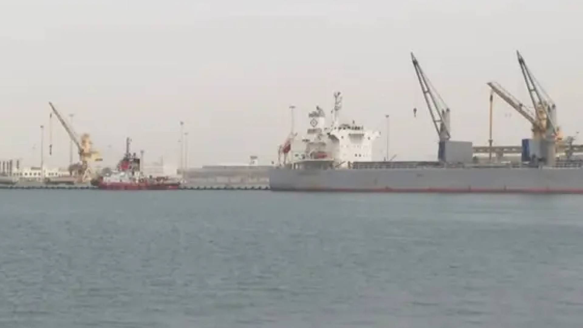 صورة من البحر الاحمر