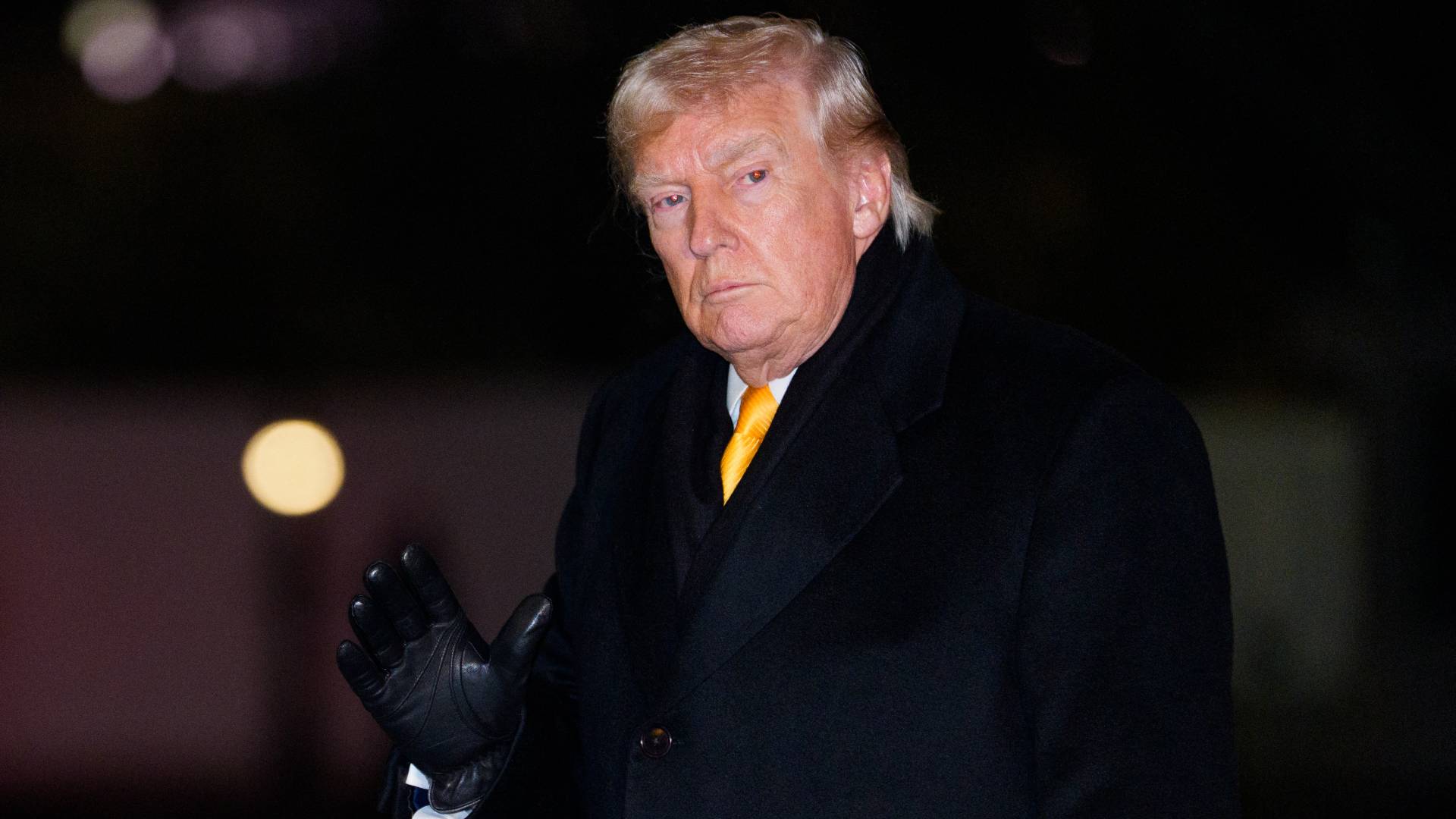 الرئيس الأمريكي دونالد  ترمب