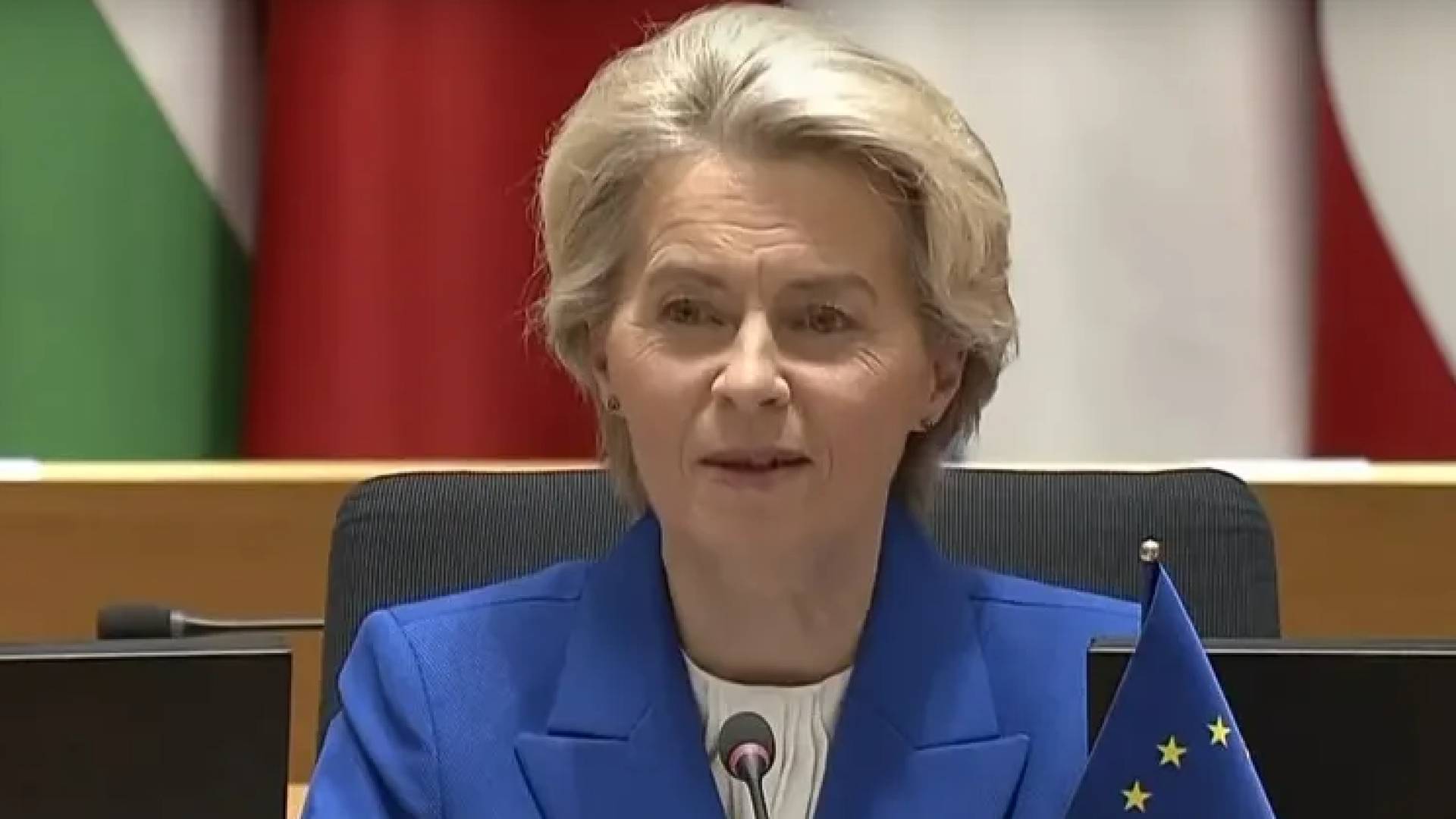 رئيسة المفوضية الأوروبية أورسولا فون دير لاين