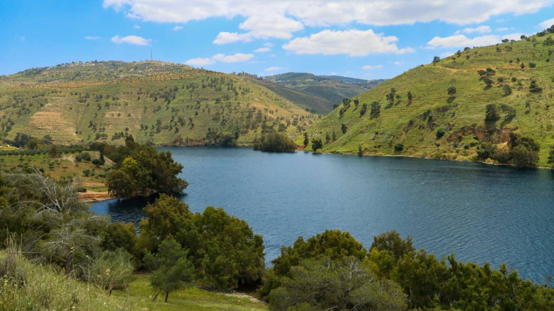 سد الملك طلال