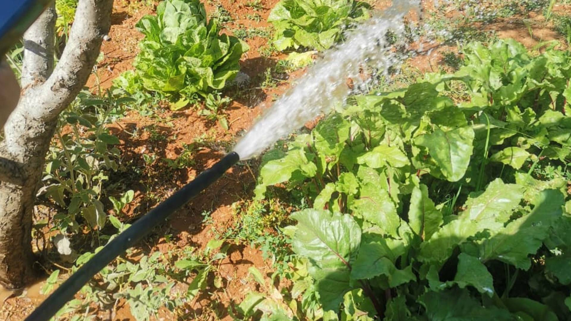 المياه : ضبط اعتداء في مناطق جنوب عمان