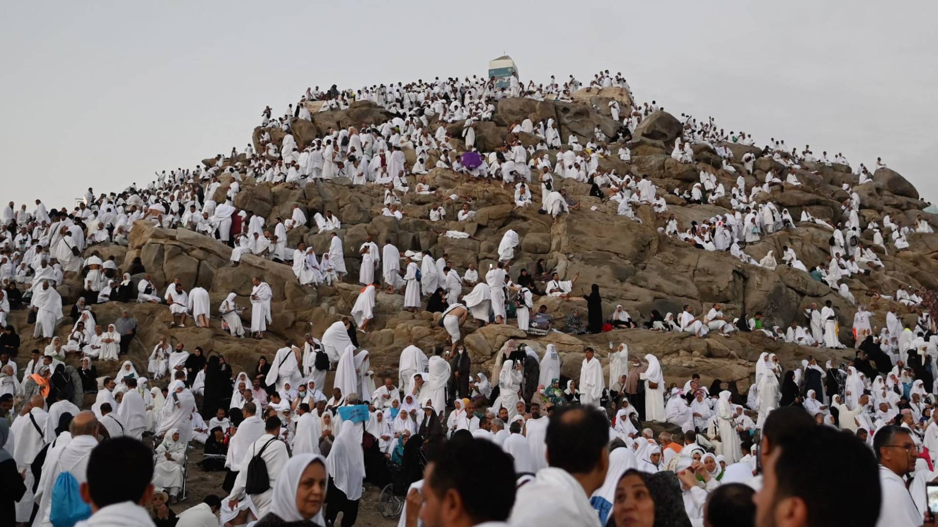 الحجاج