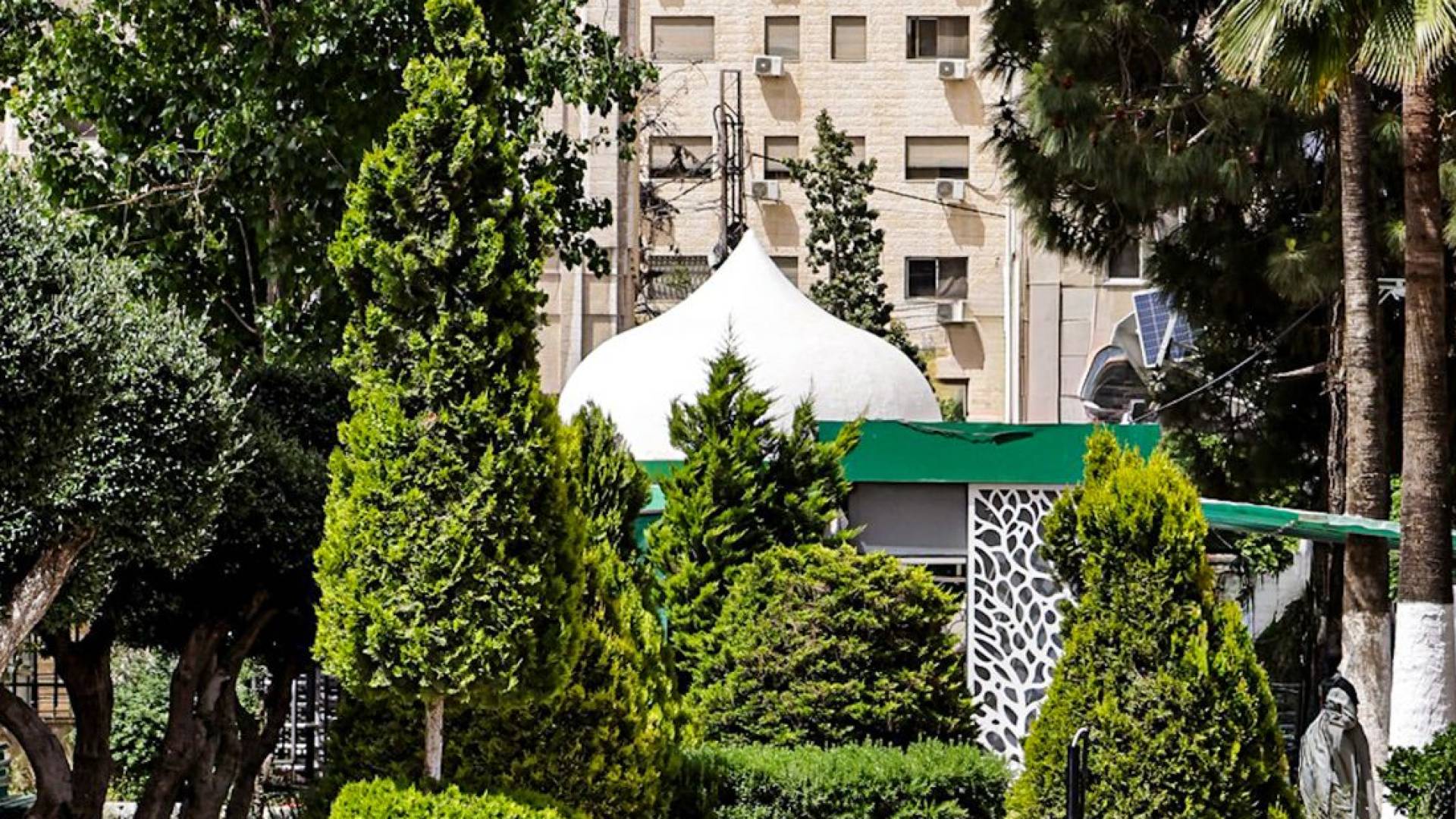 الجامعة الأردنية