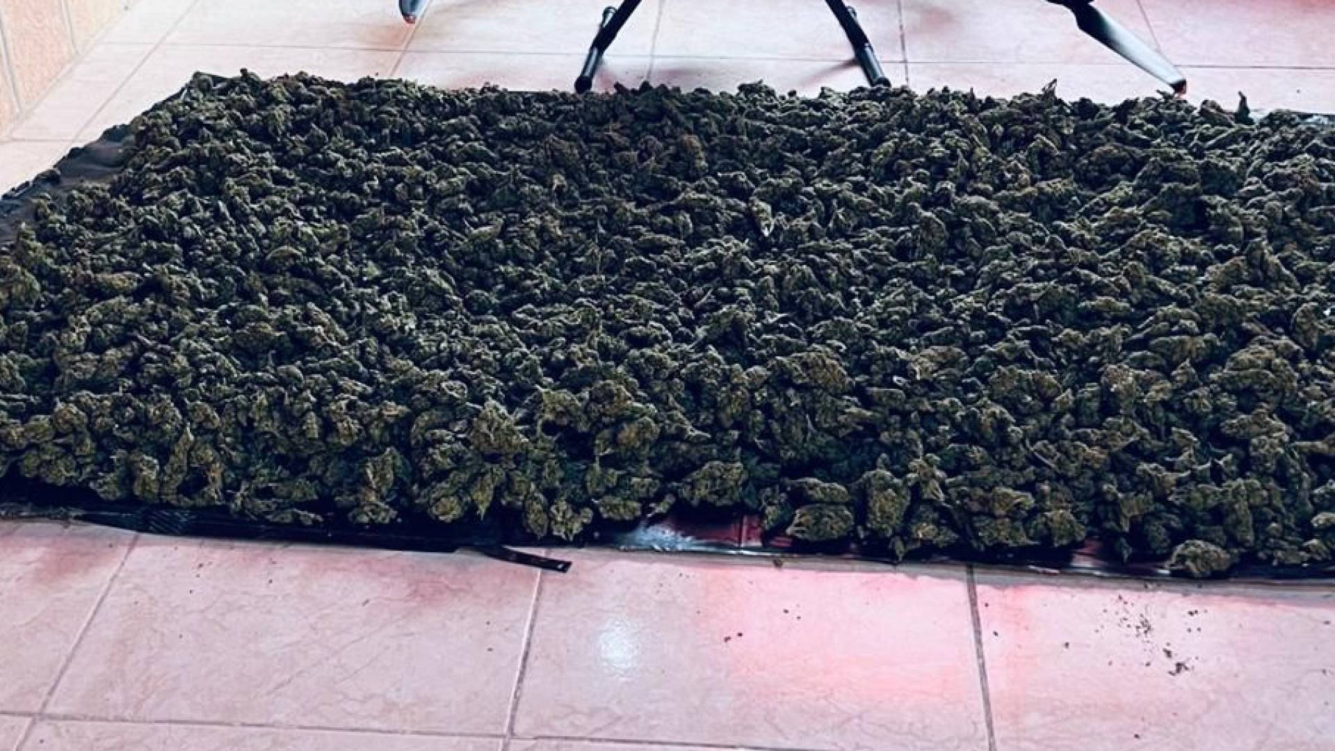 الجيش العربي: المنطقة العسكرية الجنوبية تحبط محاولة تهريب مواد مخدرة