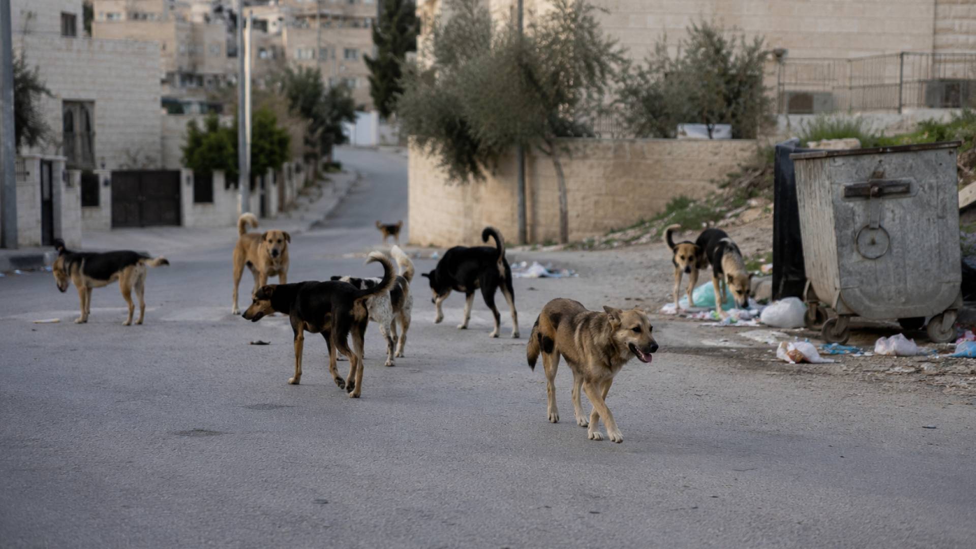 صورة مولدة بالذكاء الإصطناعي