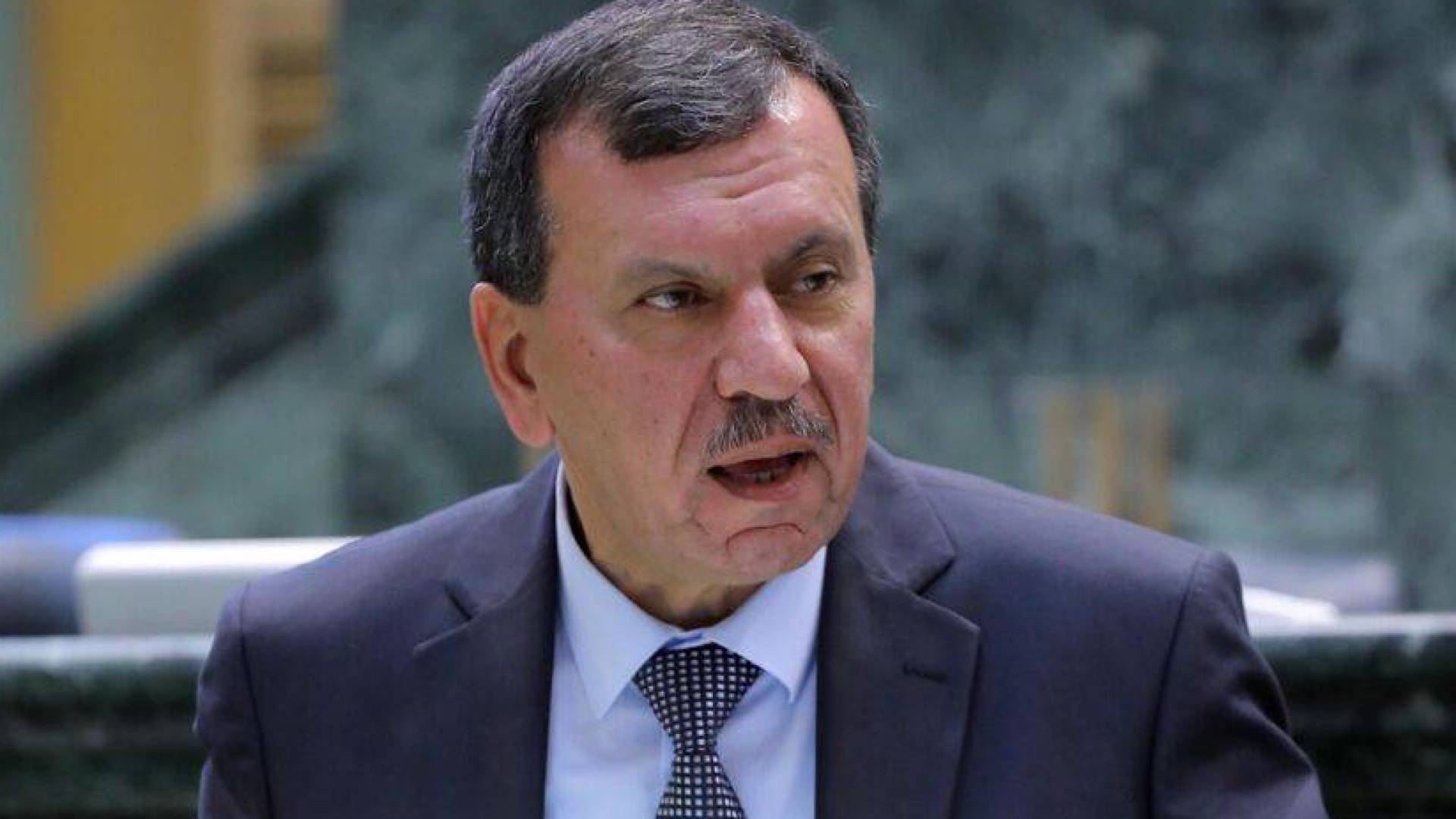 النائب هايل عياش
