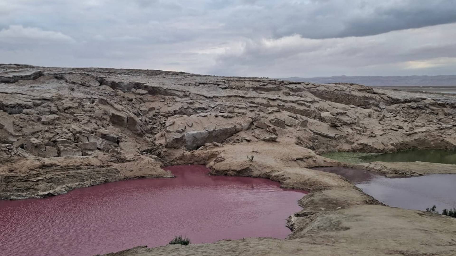 البرك الملونة في البحر الميت