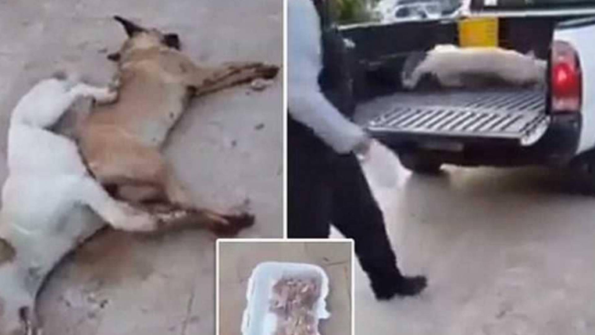 من وسائل اعلام لبنانية